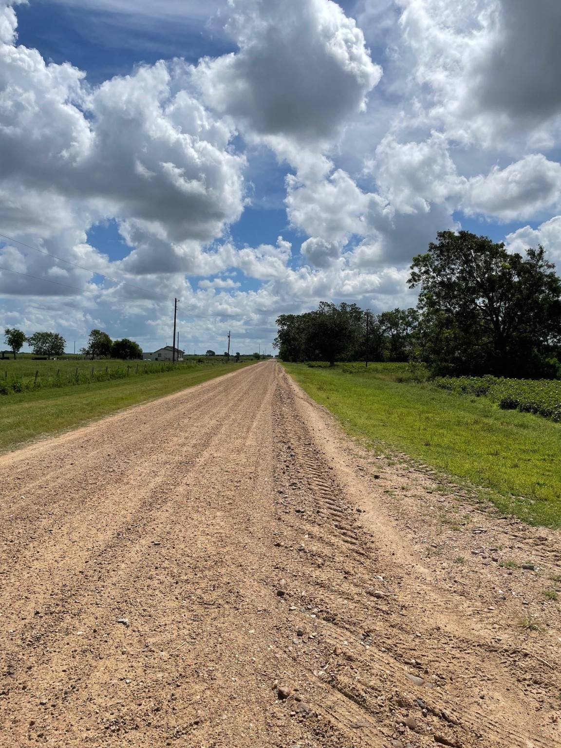 Tbd Lot 1 County Road 414 Property Photo 13