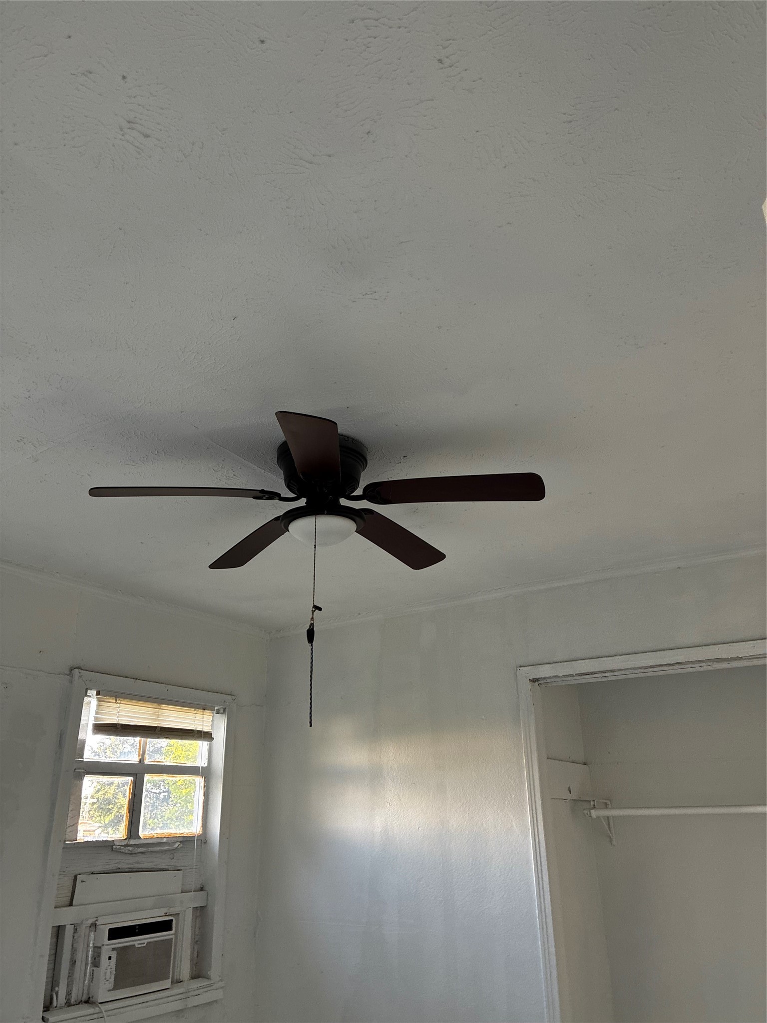 913 Anthony Court Property Photo 6