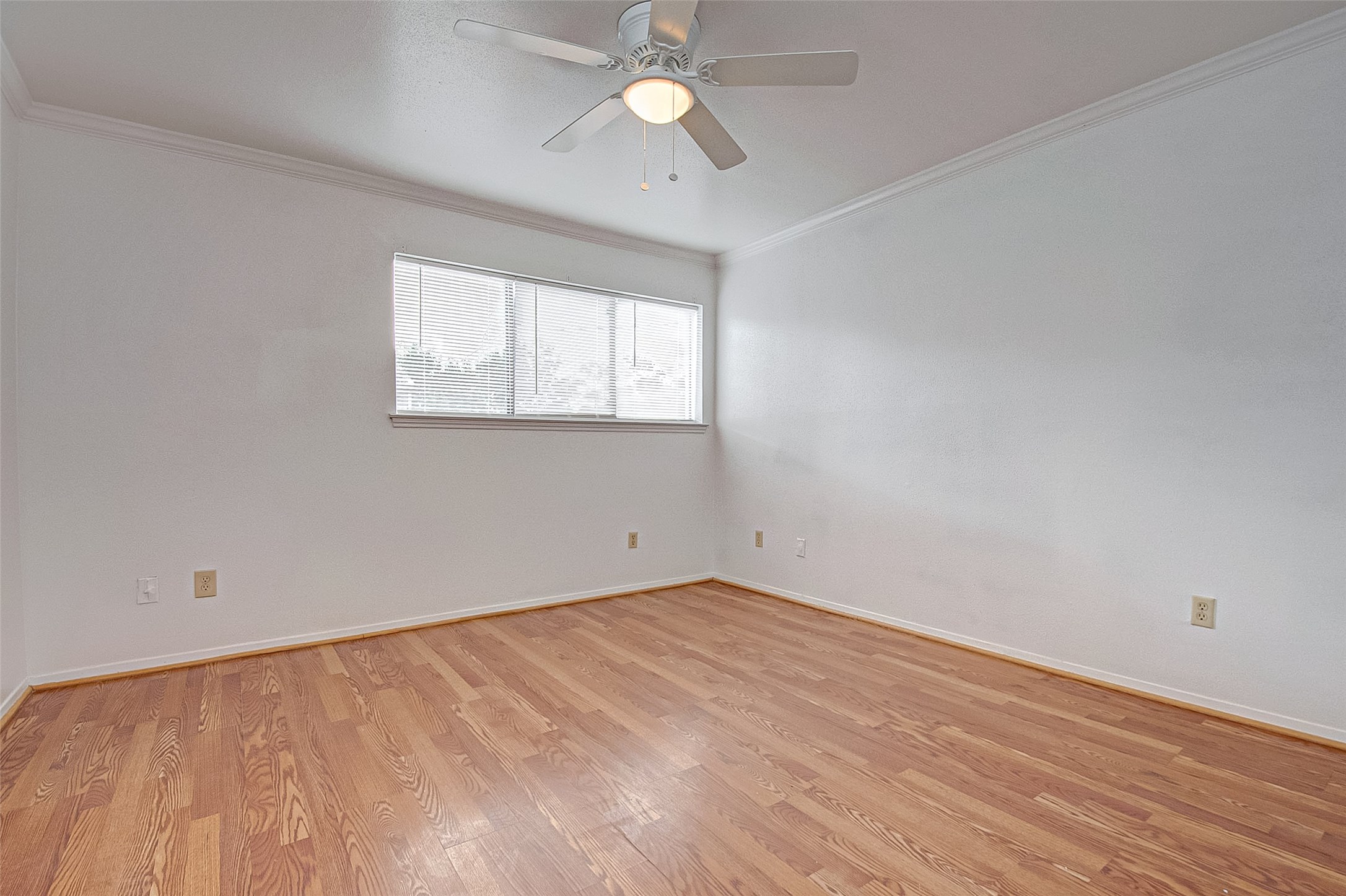 8312 Augustine Drive D Property Photo 23