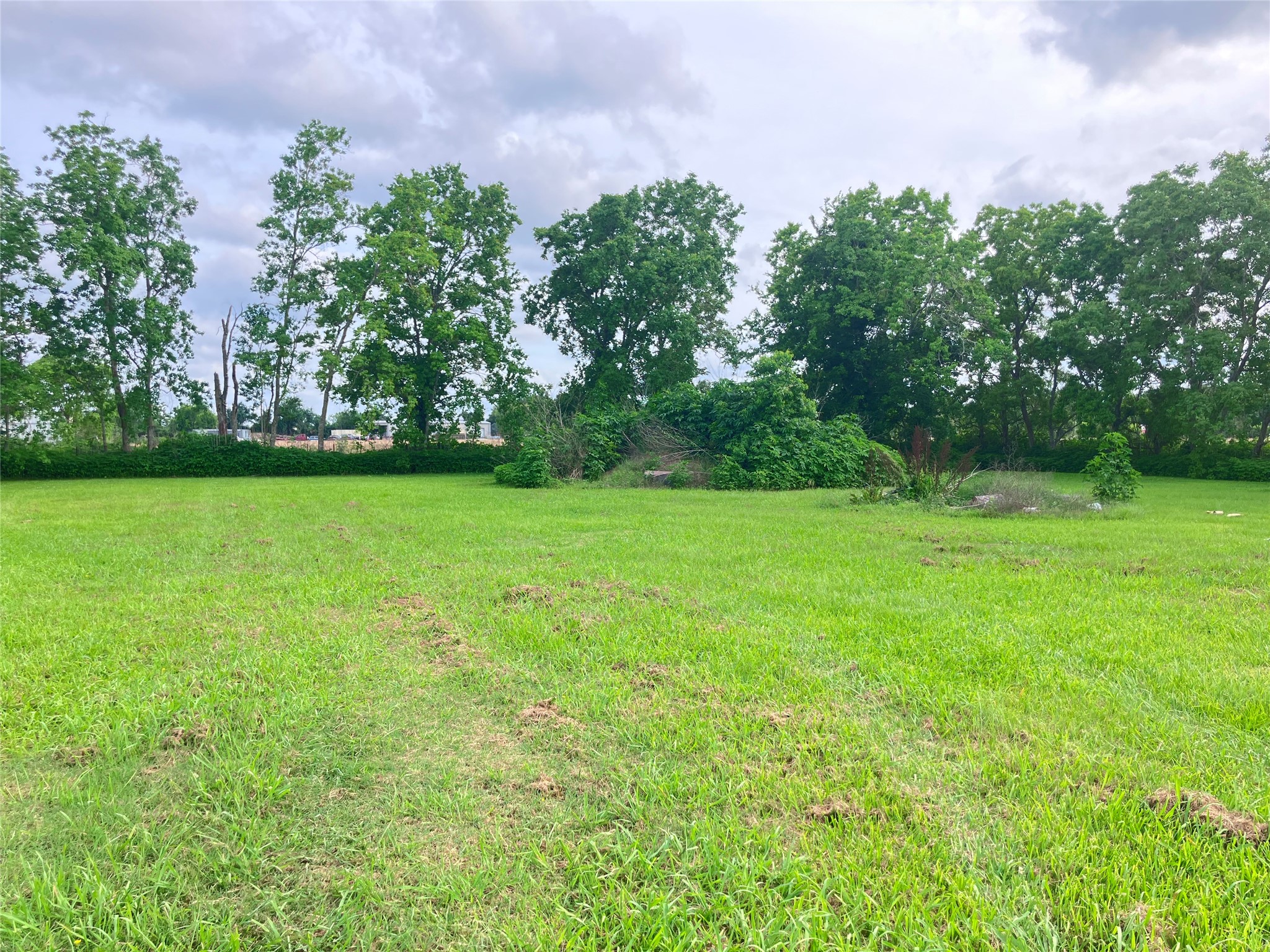 13007 28th Street Property Photo 9