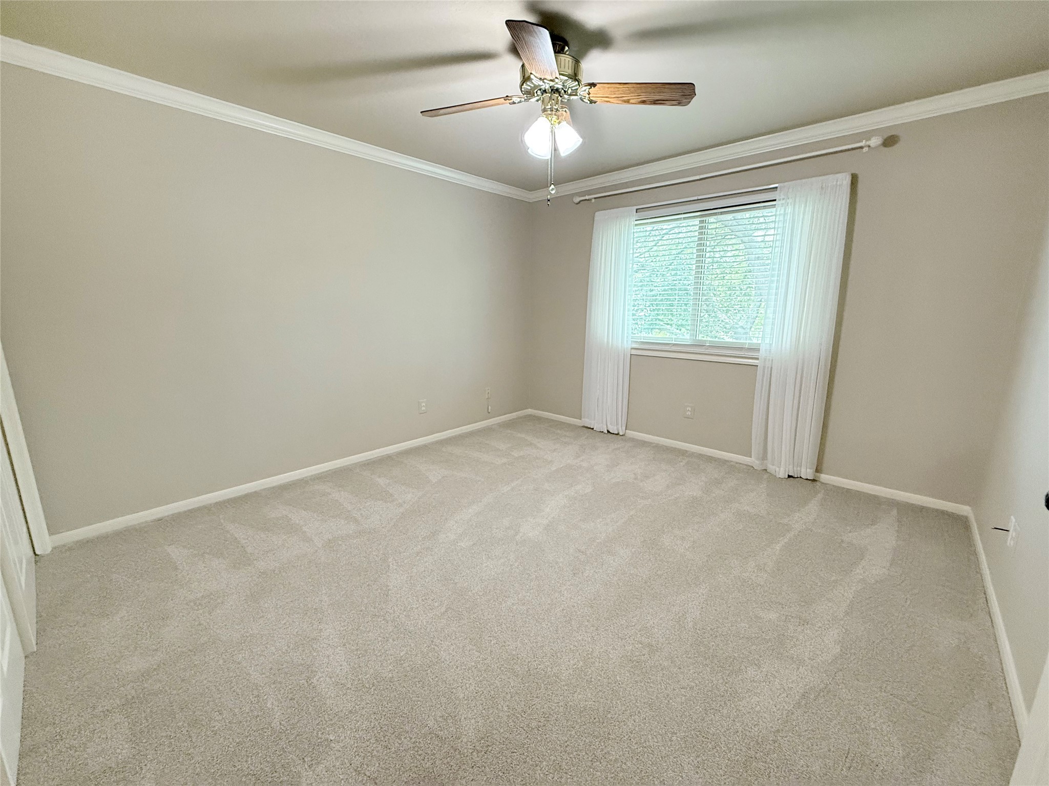 205 Peppermint Drive Property Photo 28