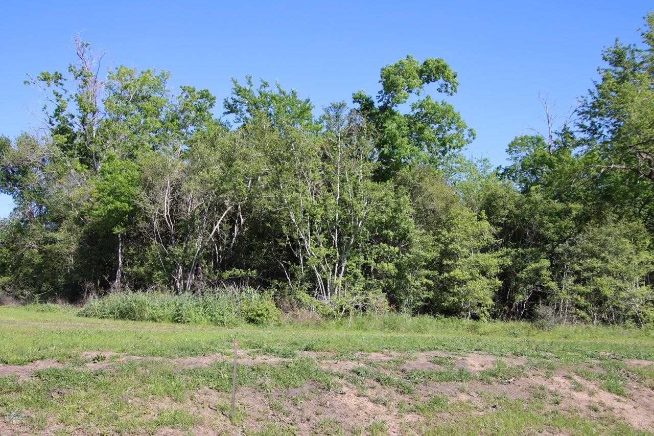 000 Clear Woods Court N Property Photo 8