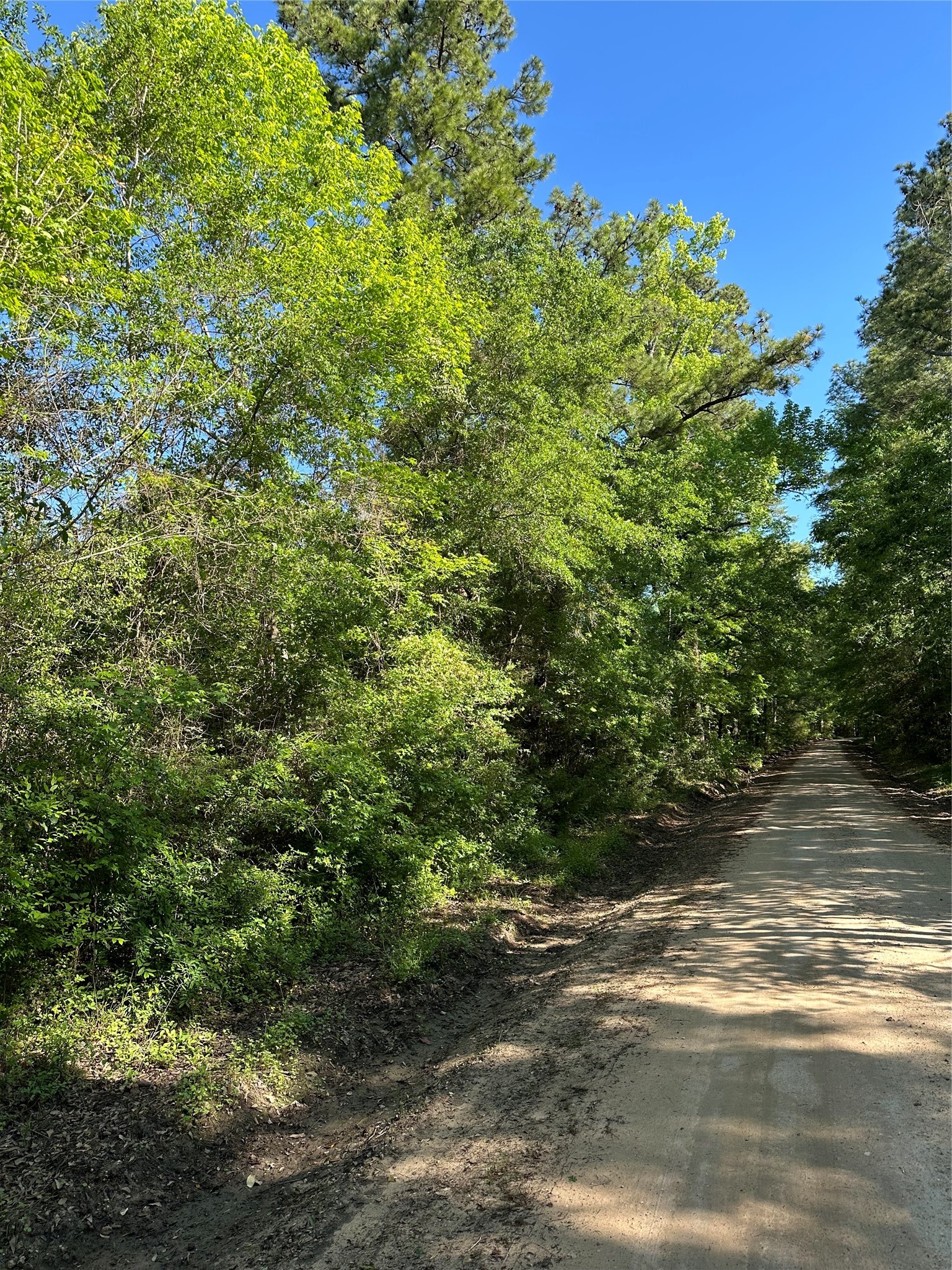 0 Hardy Bottom Road Property Photo 4