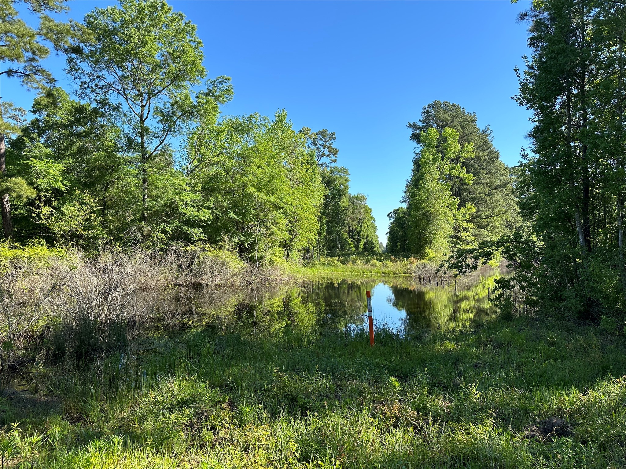 0 Hardy Bottom Road Property Photo 6