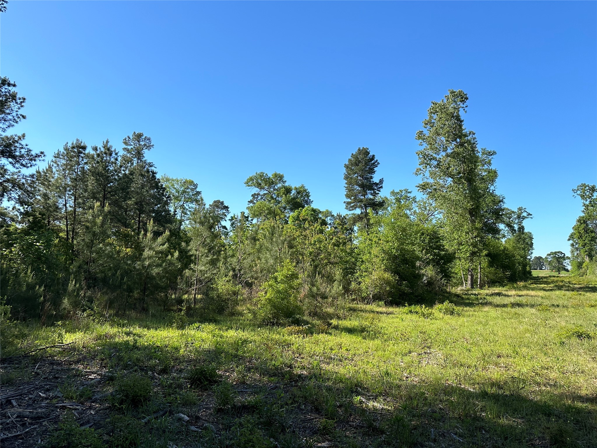 0 Hardy Bottom Road Property Photo 8