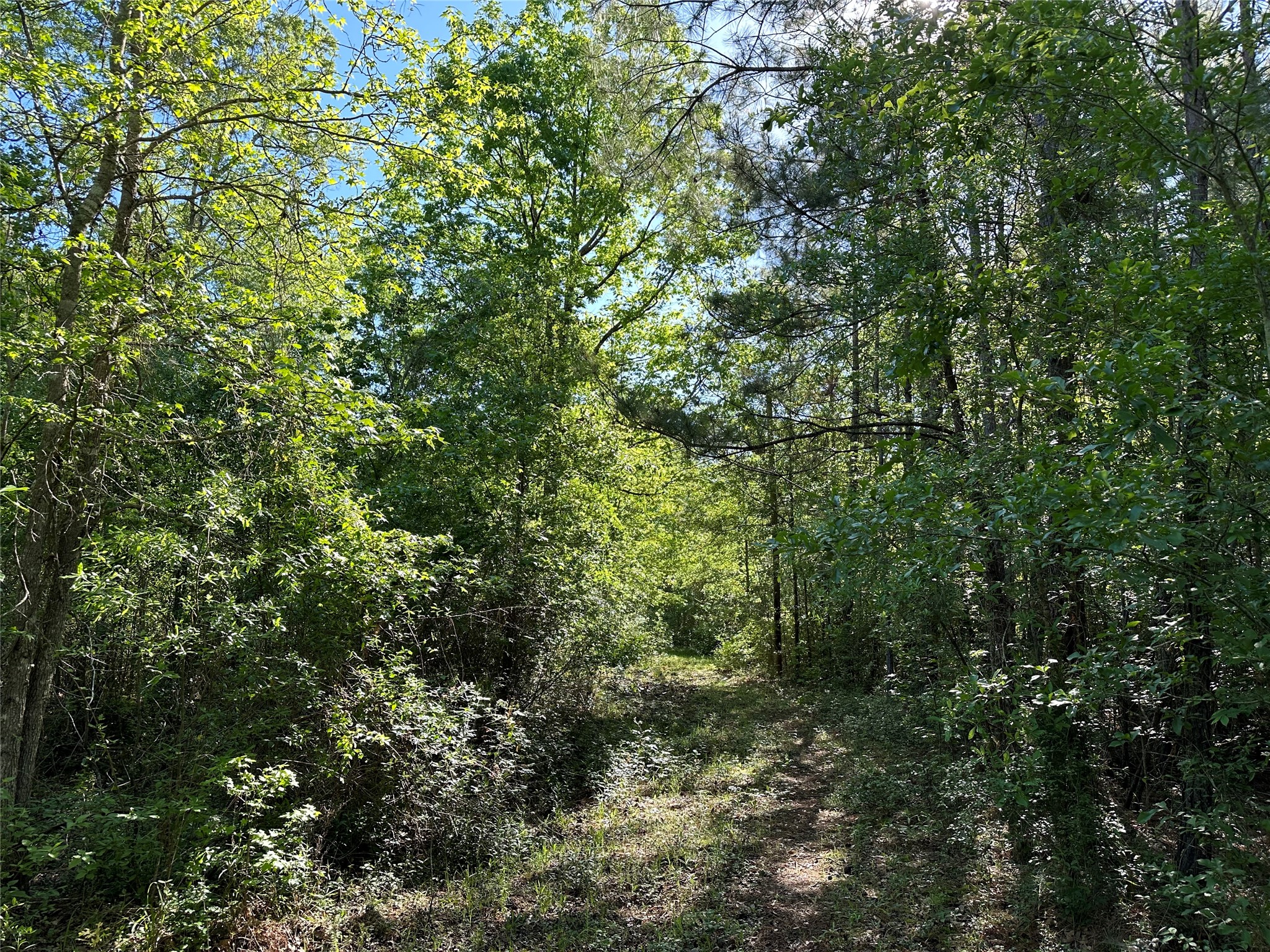 0 Hardy Bottom Road Property Photo 13