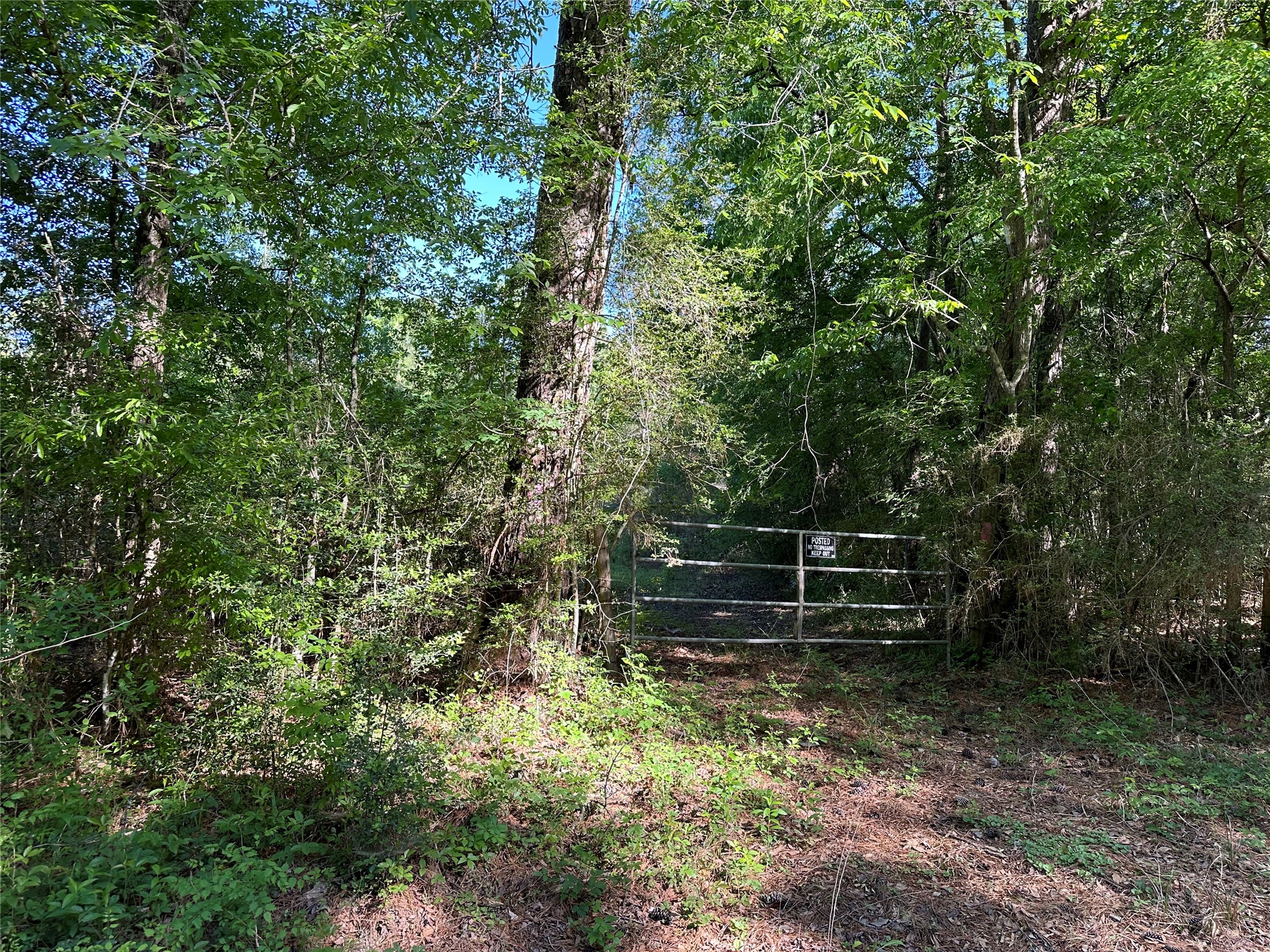0 Hardy Bottom Road Property Photo 14