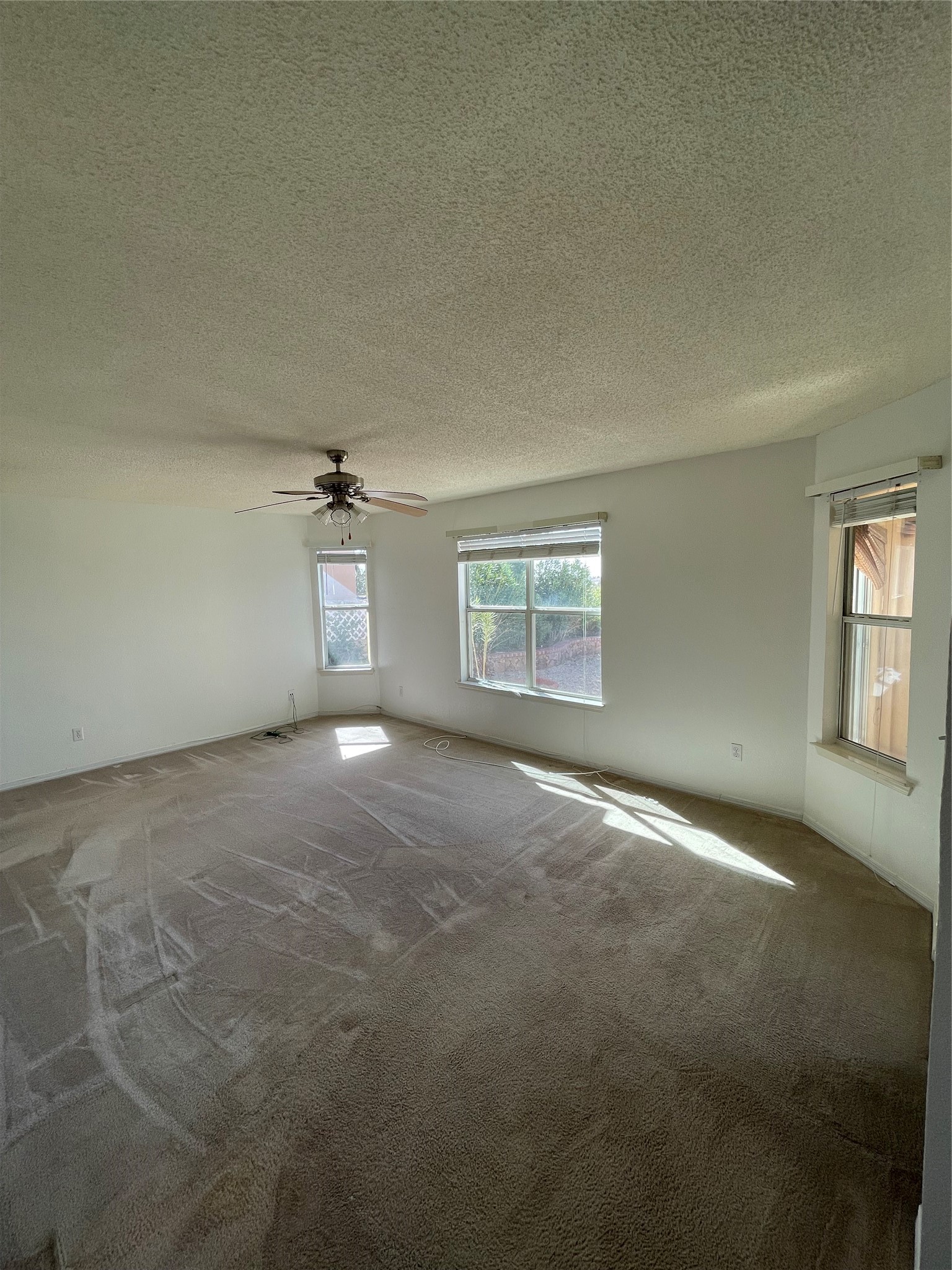 7312 Camino Del Sol Property Photo 6