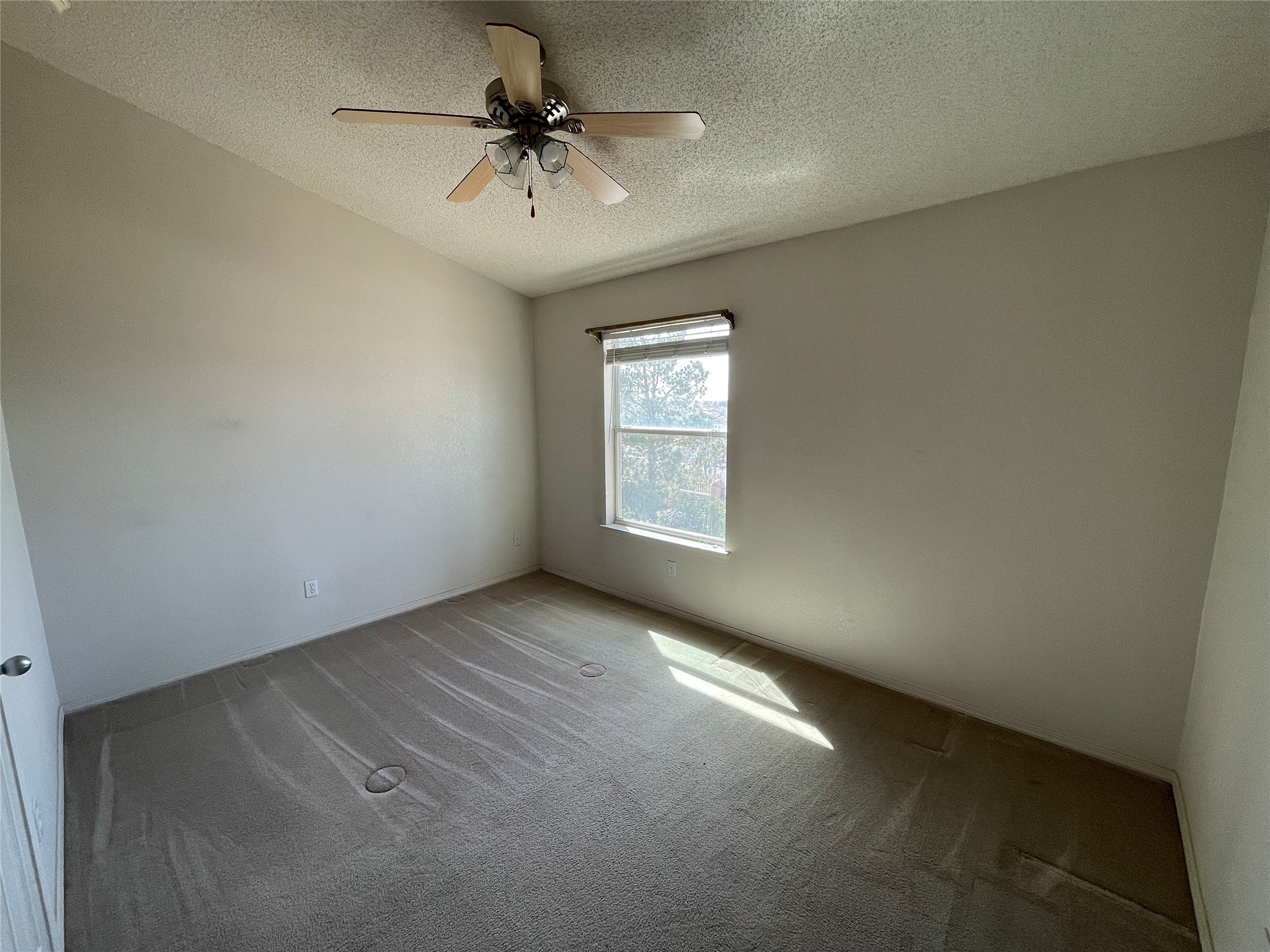7312 Camino Del Sol Property Photo 15