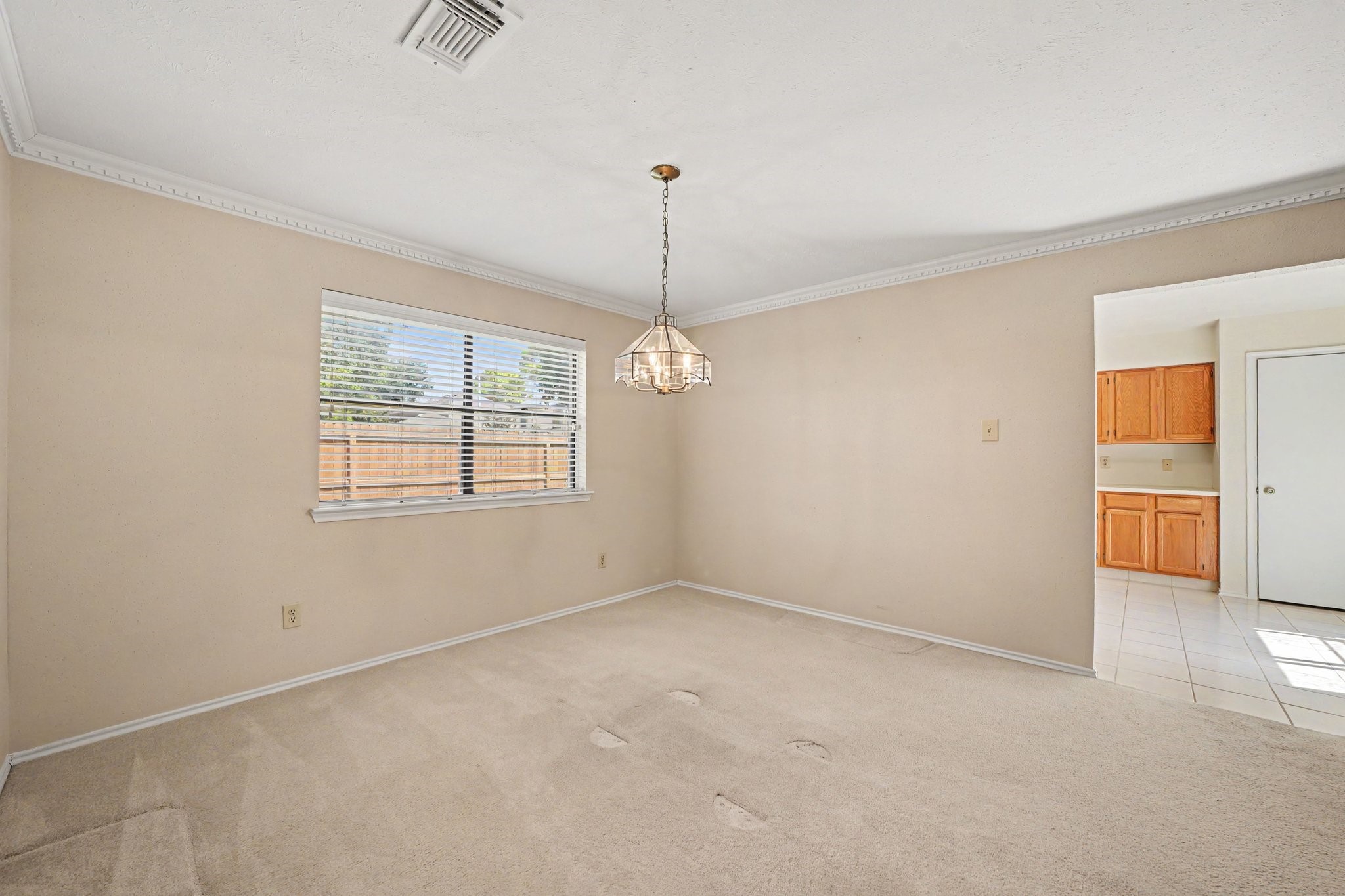 10038 Wayward Wind Lane Property Photo 11
