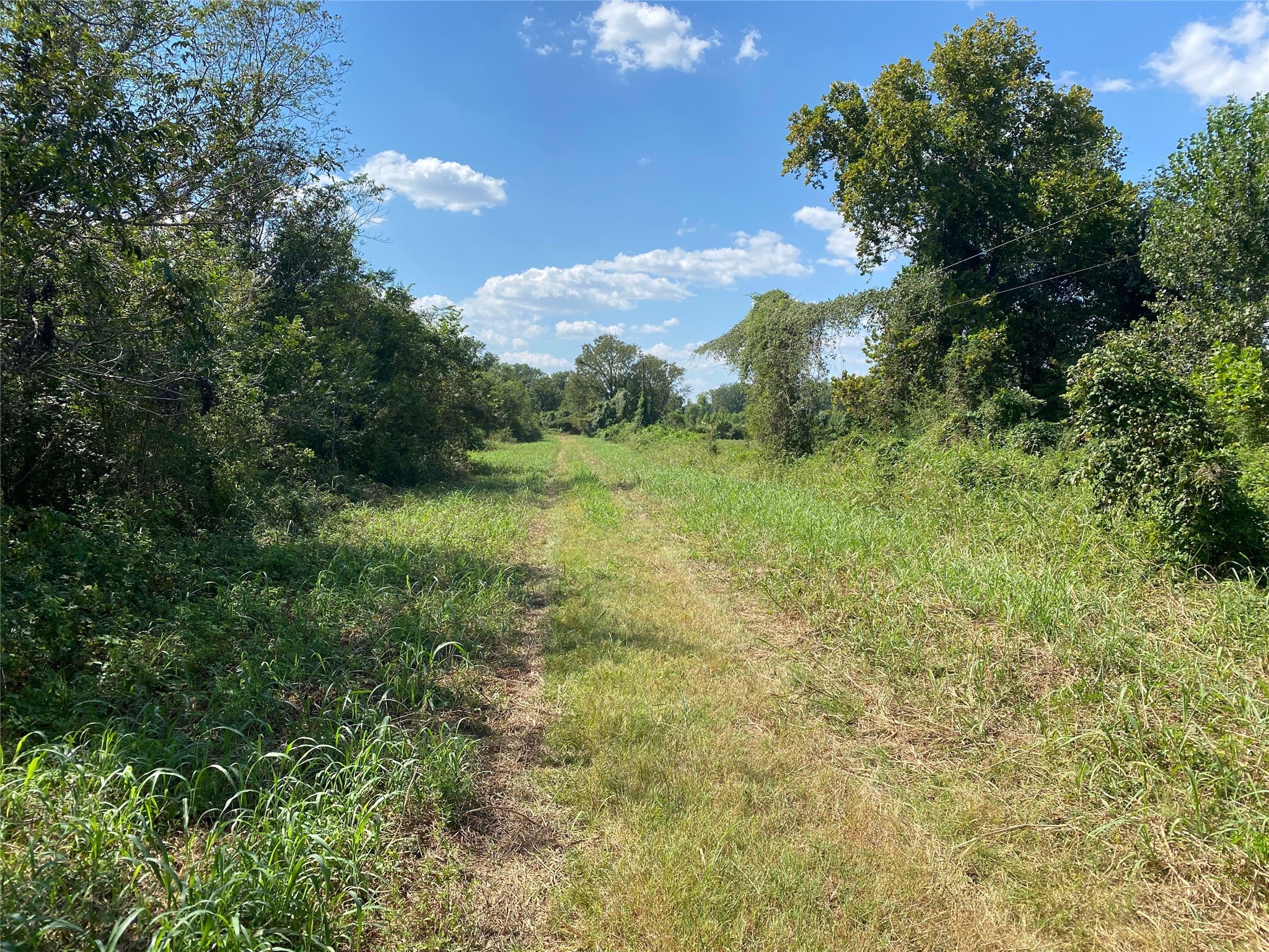 0000 House Rd Tracts 4 And 5 Road Property Photo 3