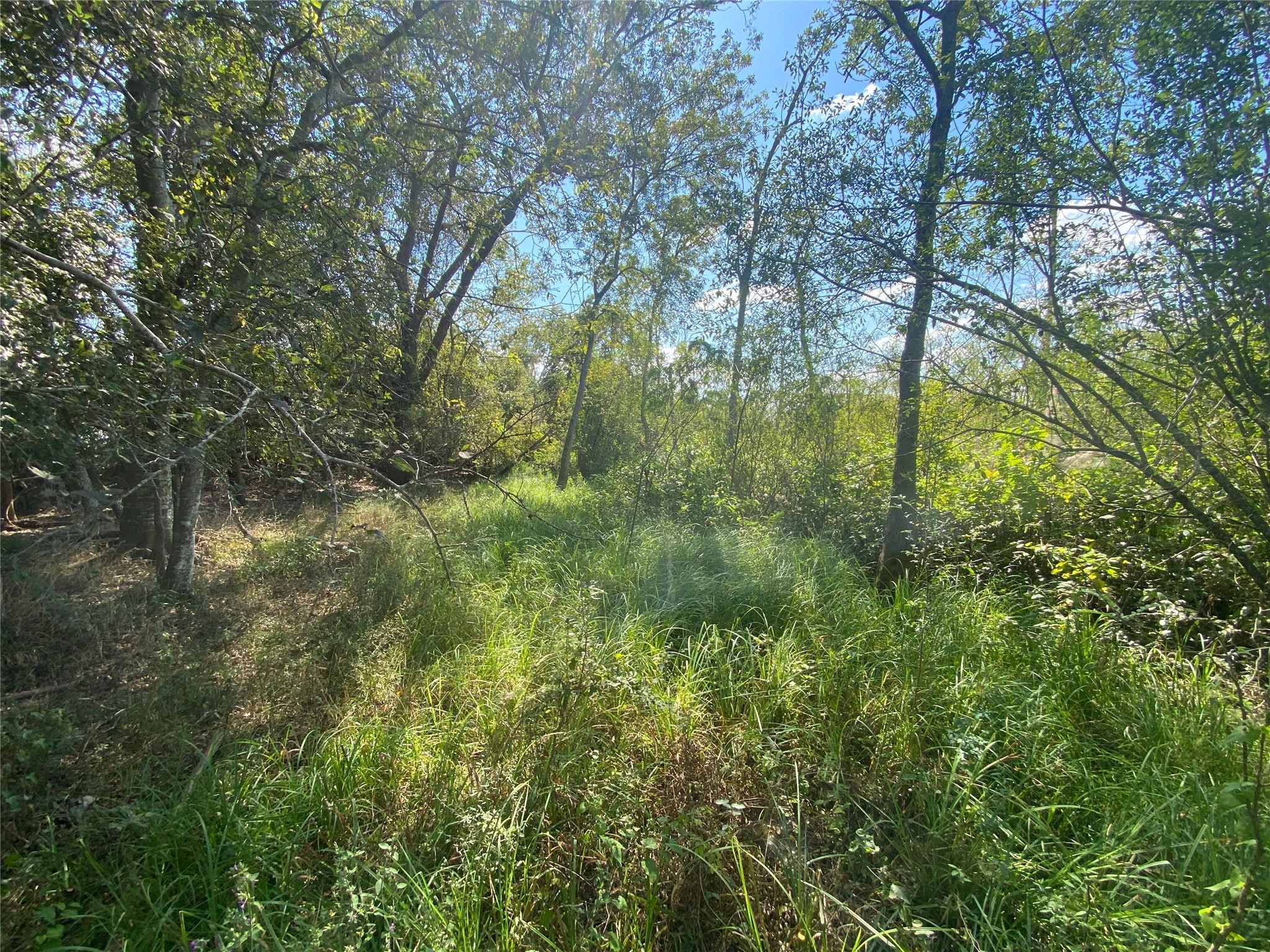 0000 House Rd Tracts 4 And 5 Road Property Photo 4