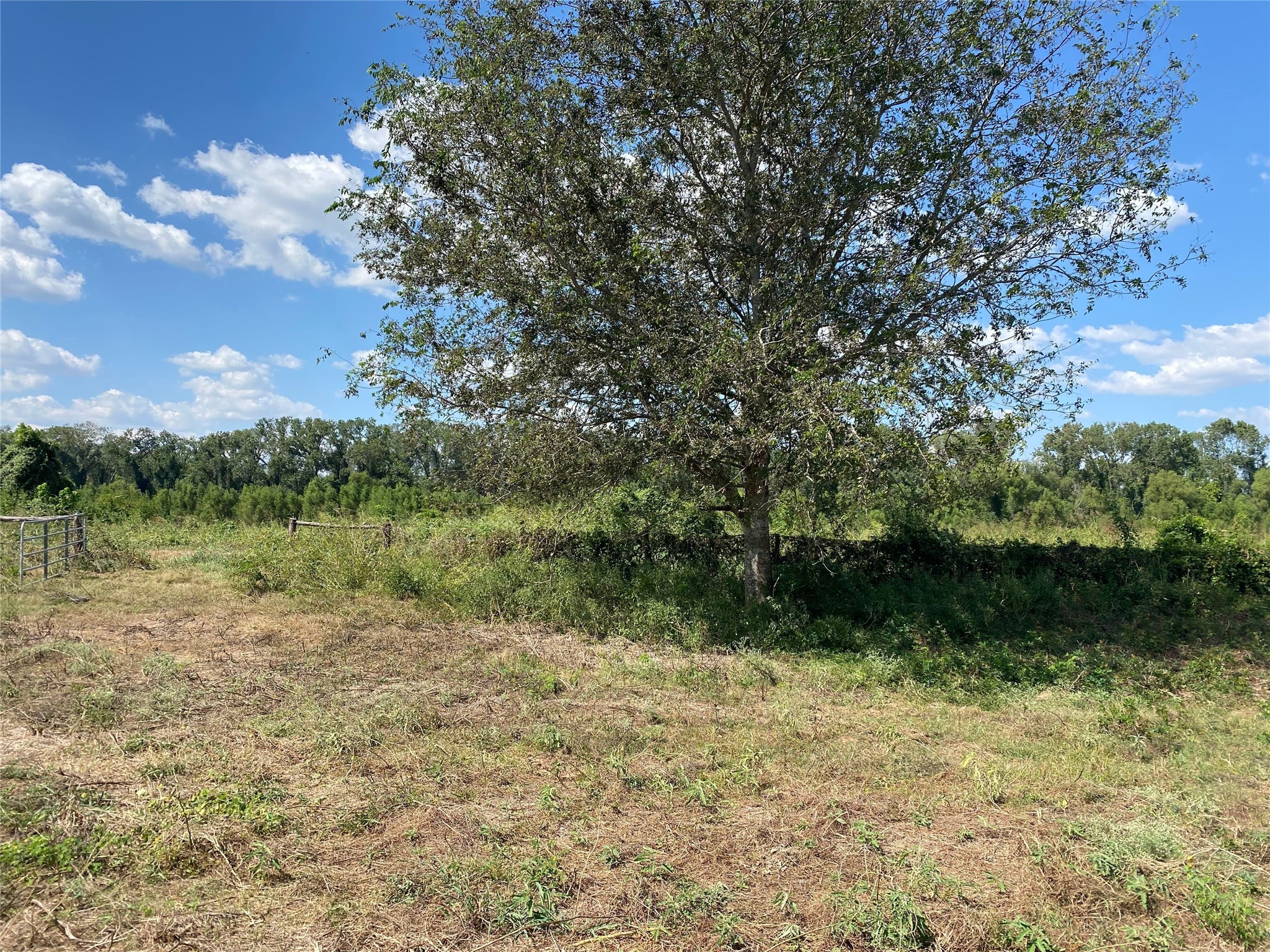 0000 House Rd Tracts 4 And 5 Road Property Photo 11