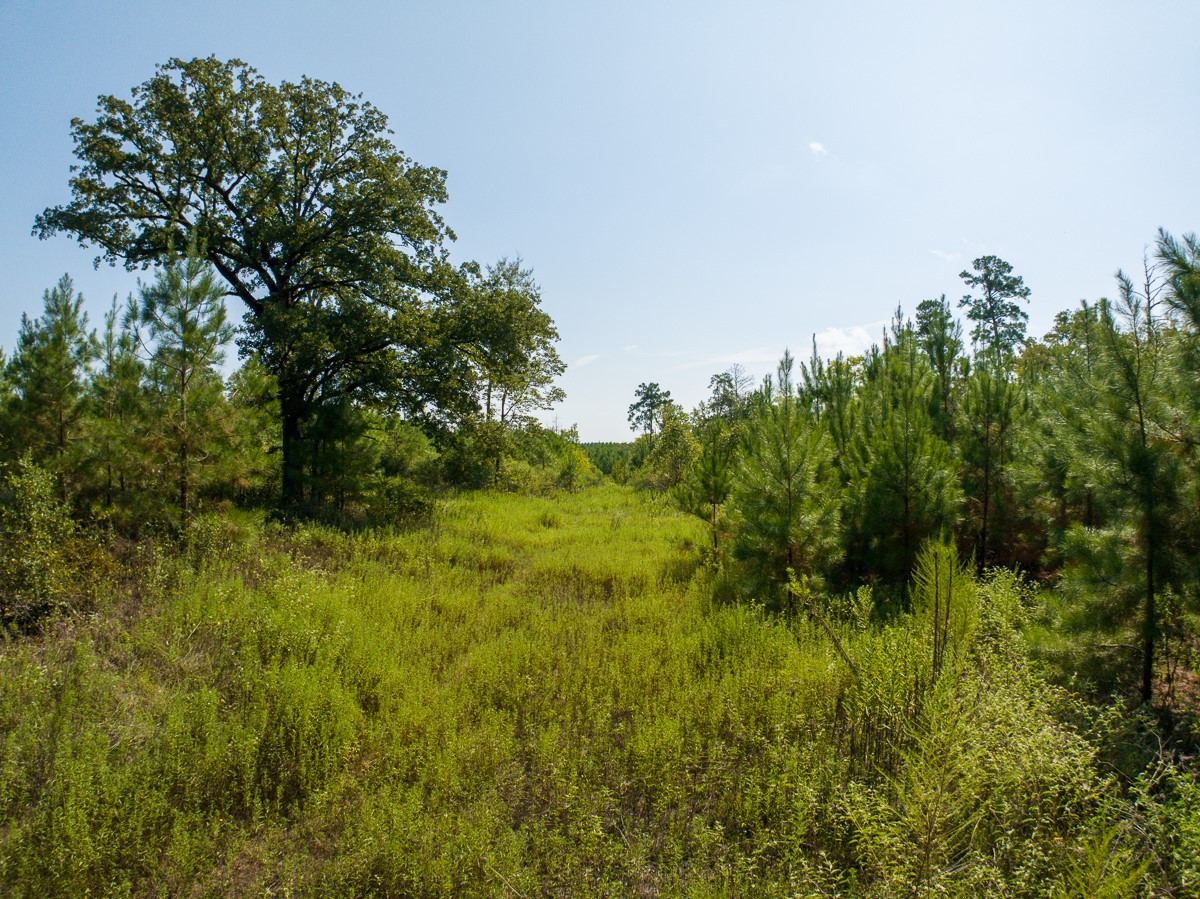 00 Lightfoot Road Property Photo 2