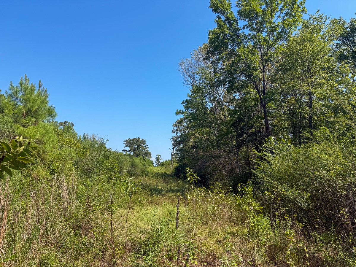00 Lightfoot Road Property Photo 10