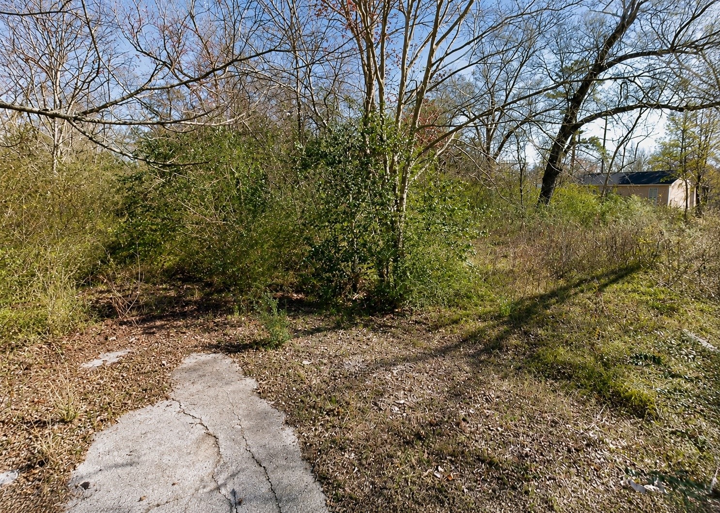 N/a Lorilee Street Street Property Photo 1