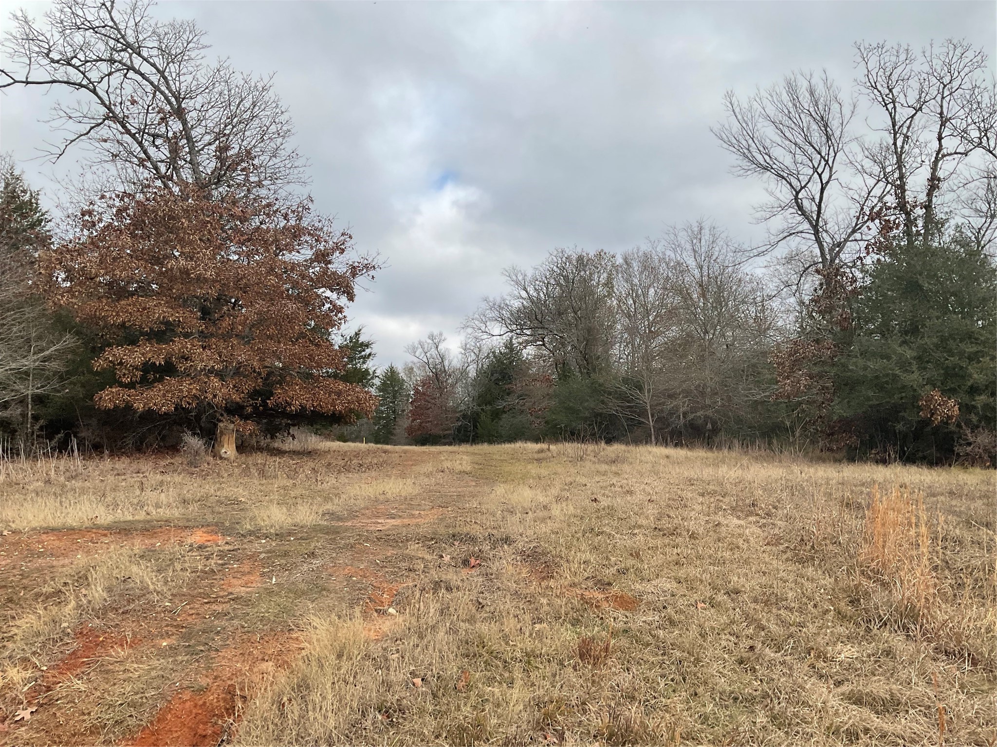 000 County Road 381 Property Photo