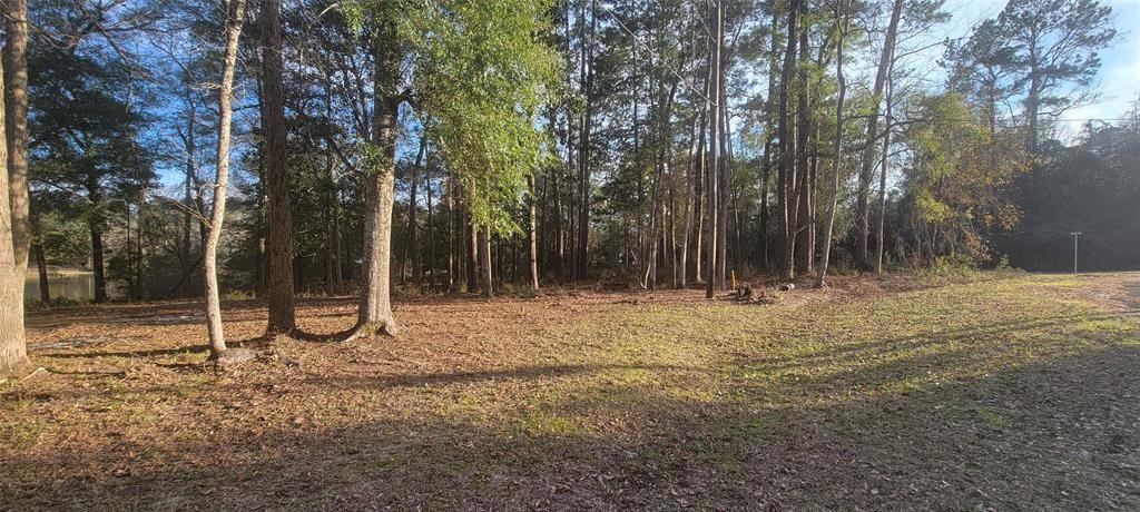 250 Wood Haven Haven Property Photo 13