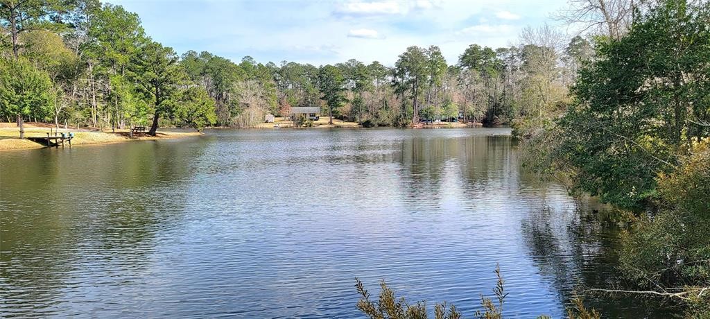 250 Wood Haven Haven Property Photo 14