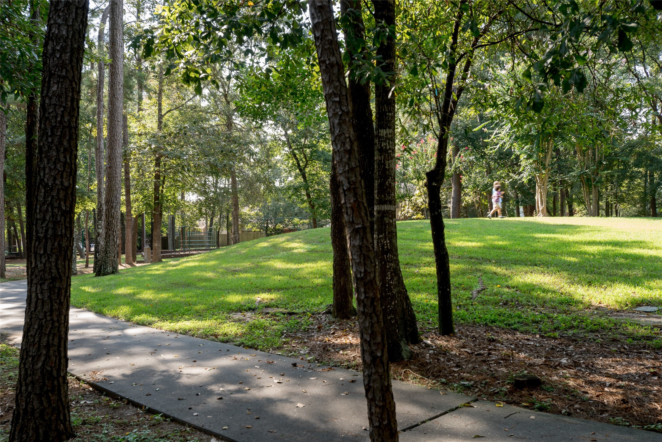 5014 Otter Peak Drive Property Photo 20