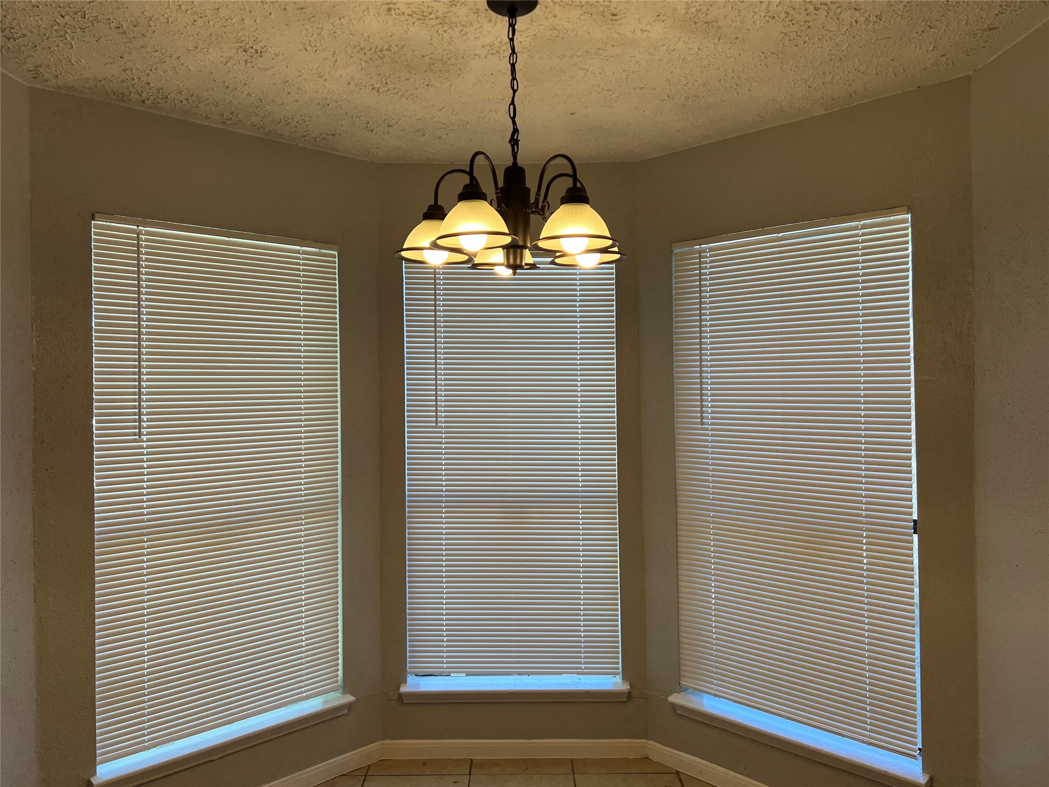 12827 Hill Branch Drive Property Photo 6