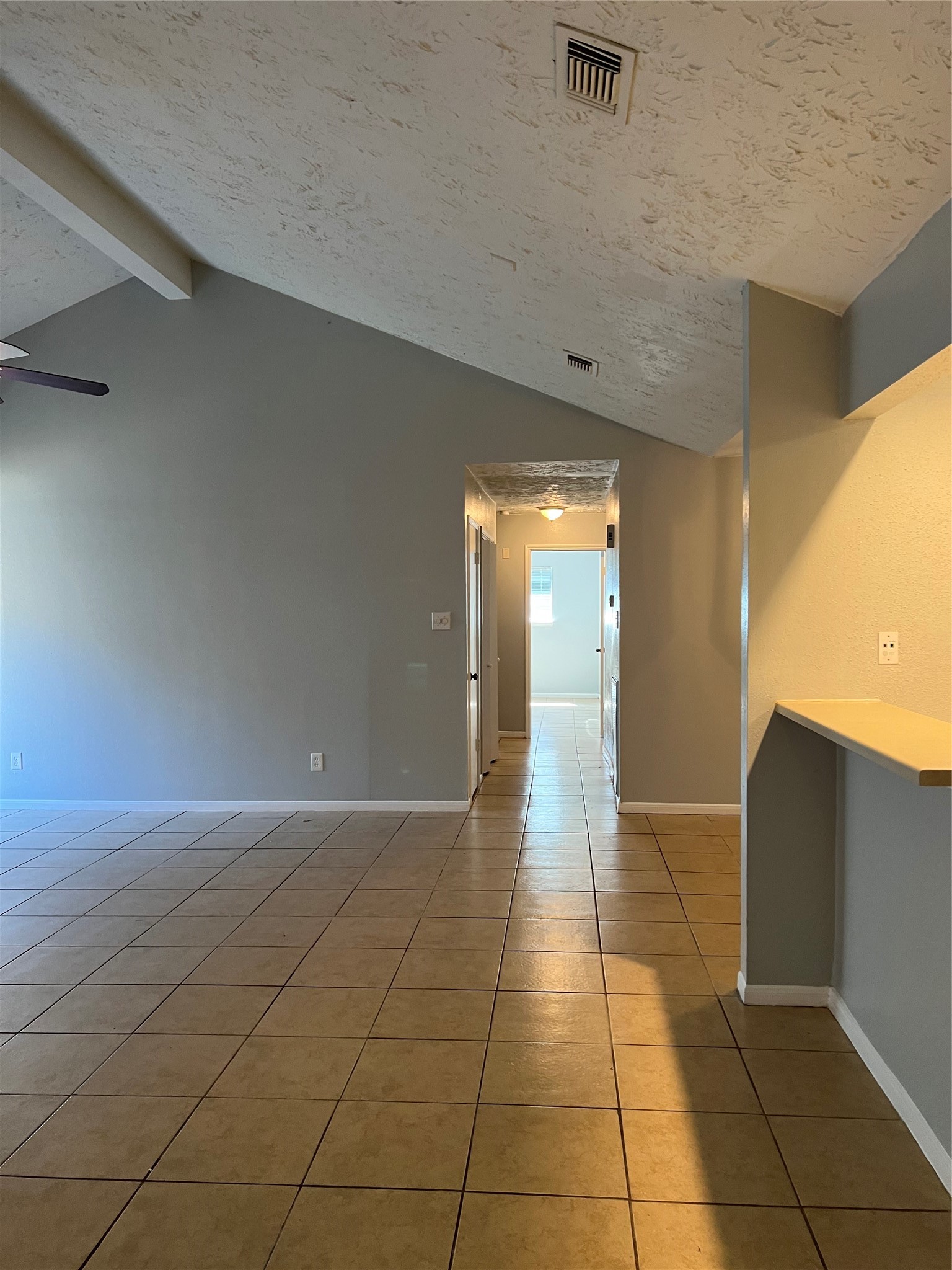 12827 Hill Branch Drive Property Photo 8