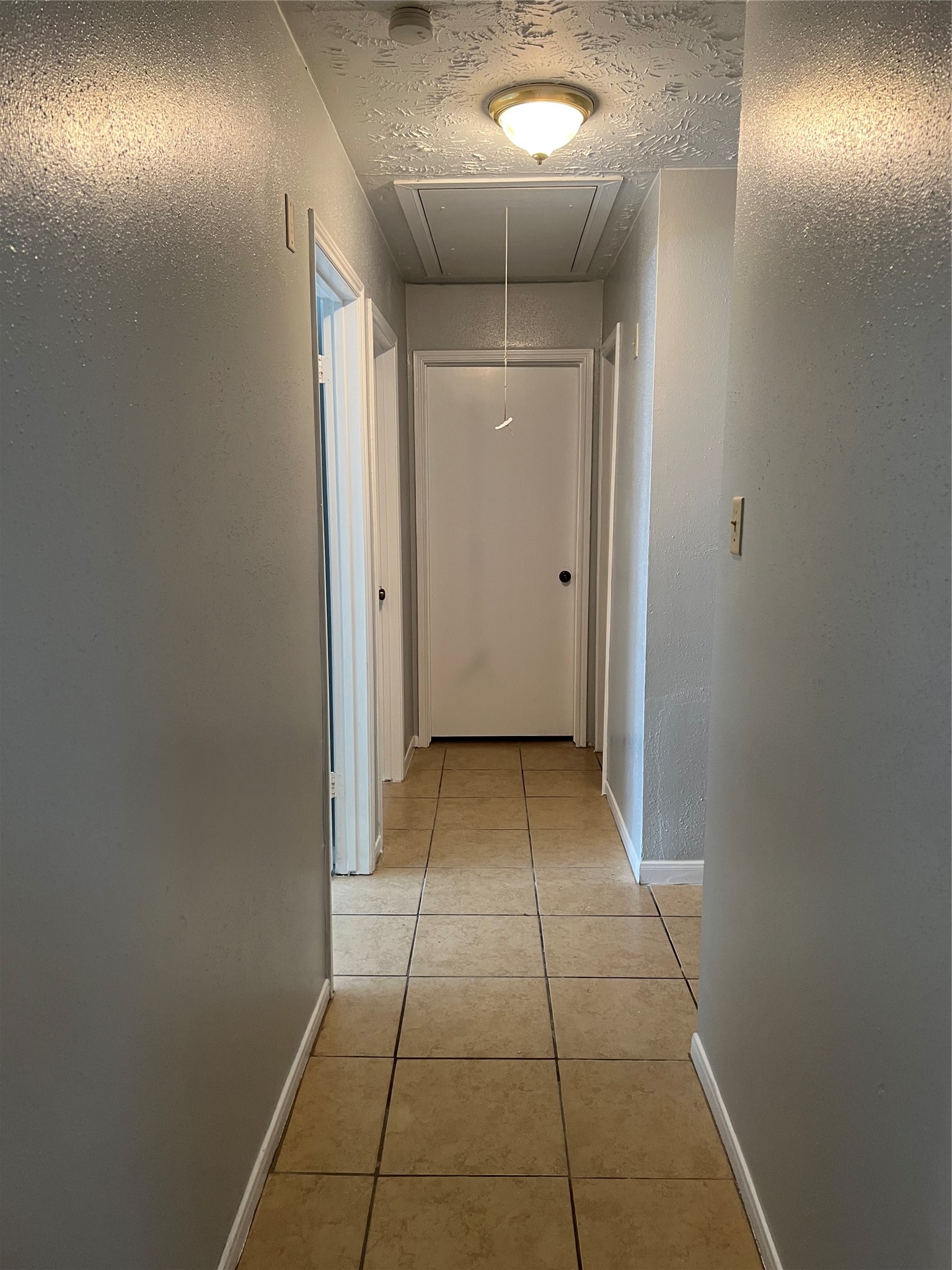 12827 Hill Branch Drive Property Photo 11