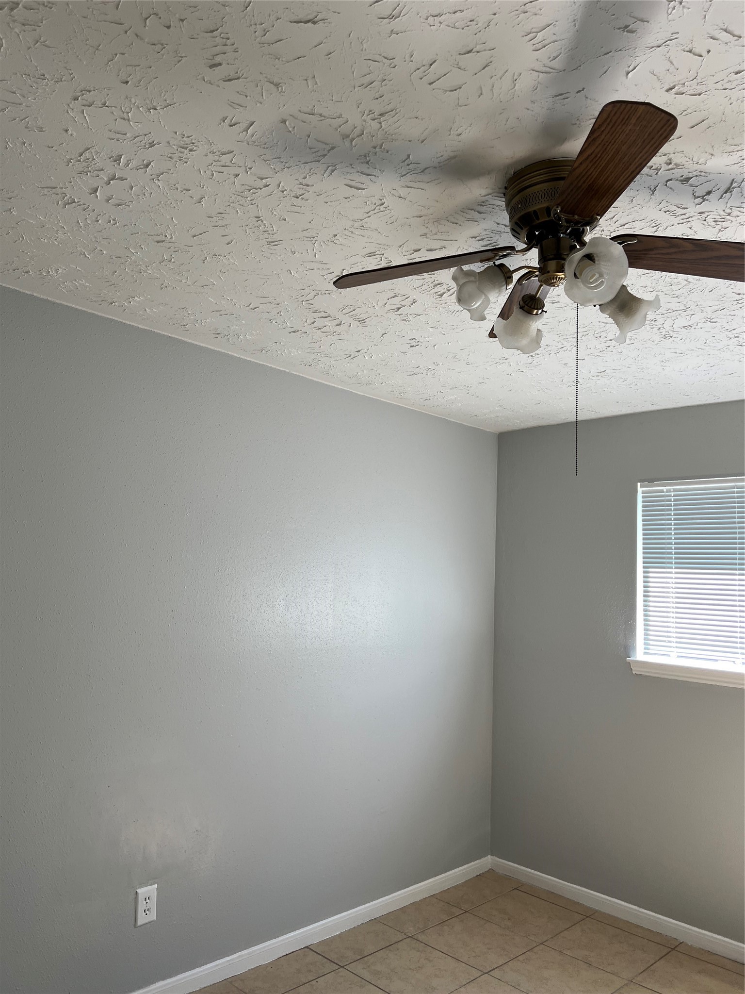 12827 Hill Branch Drive Property Photo 18