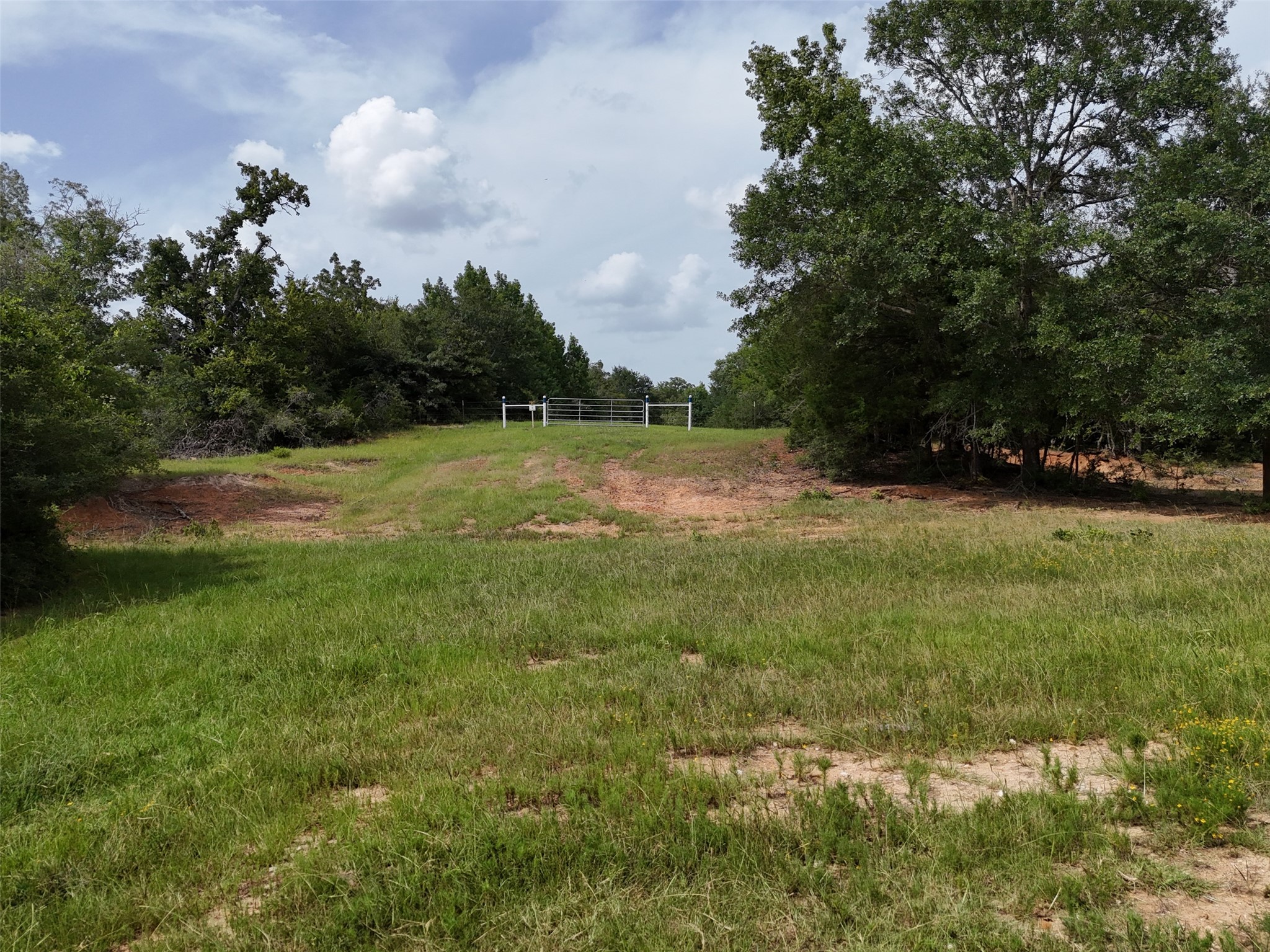 0 Private Road 2026 Tracts 1-3 Property Photo 2