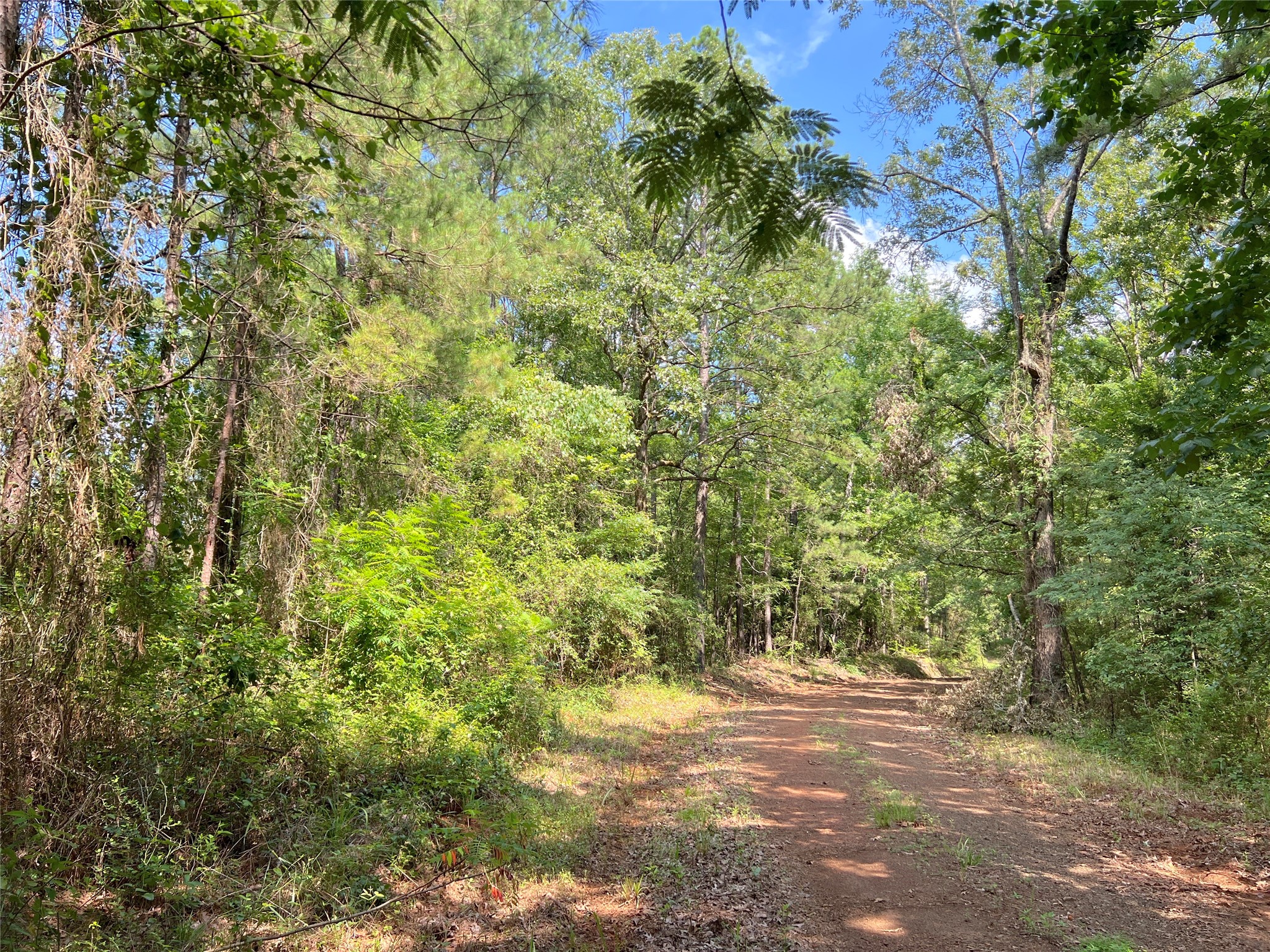 03 Off Highway 21 Property Photo 1