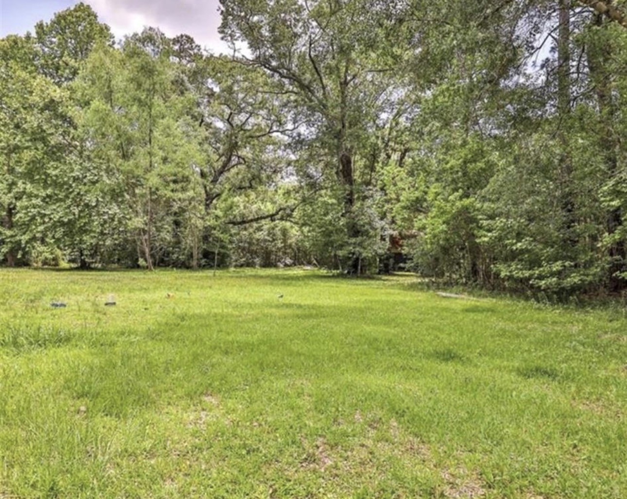27570 Fm 2090 Road Property Photo 10