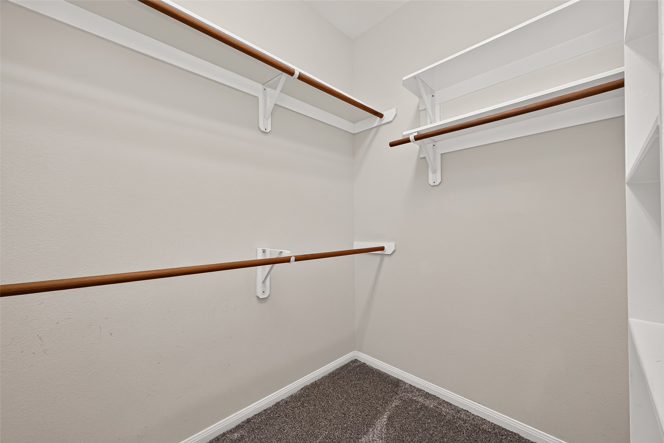 21610 Avalon Queen Drive Property Photo 28