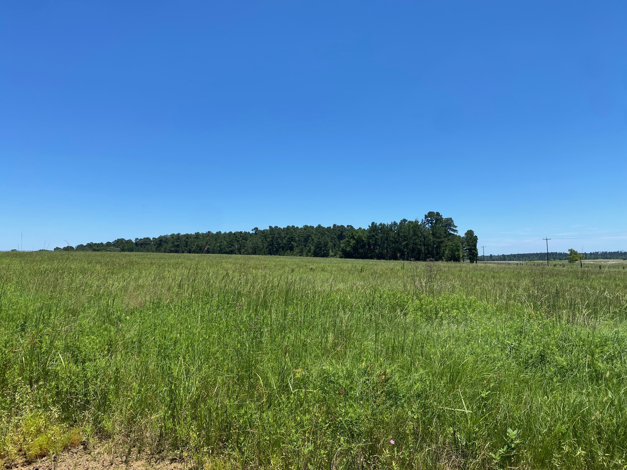 TBD CR 4025 Property Photo 1