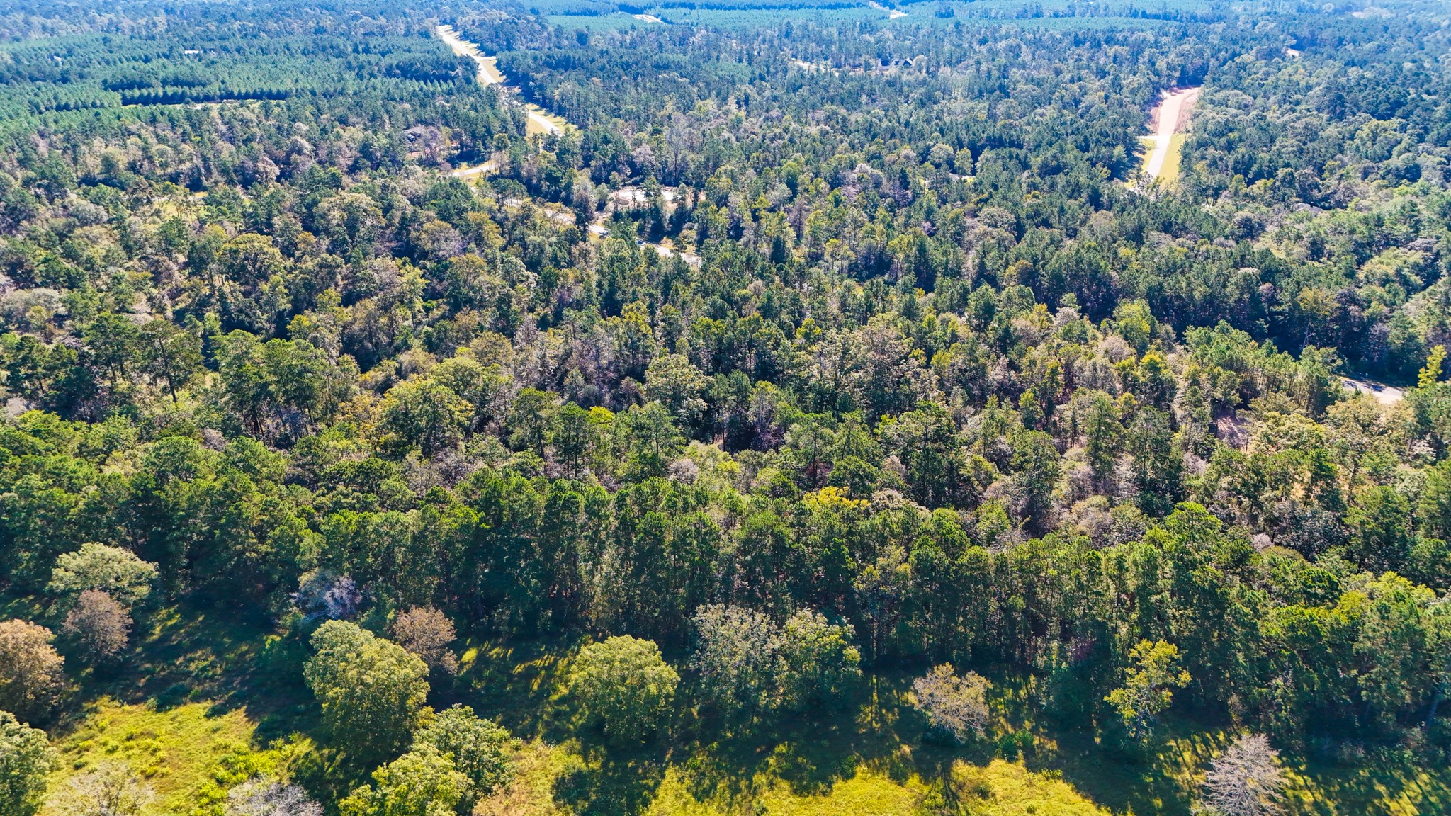 15821 Ridge Rock Road Property Photo 10