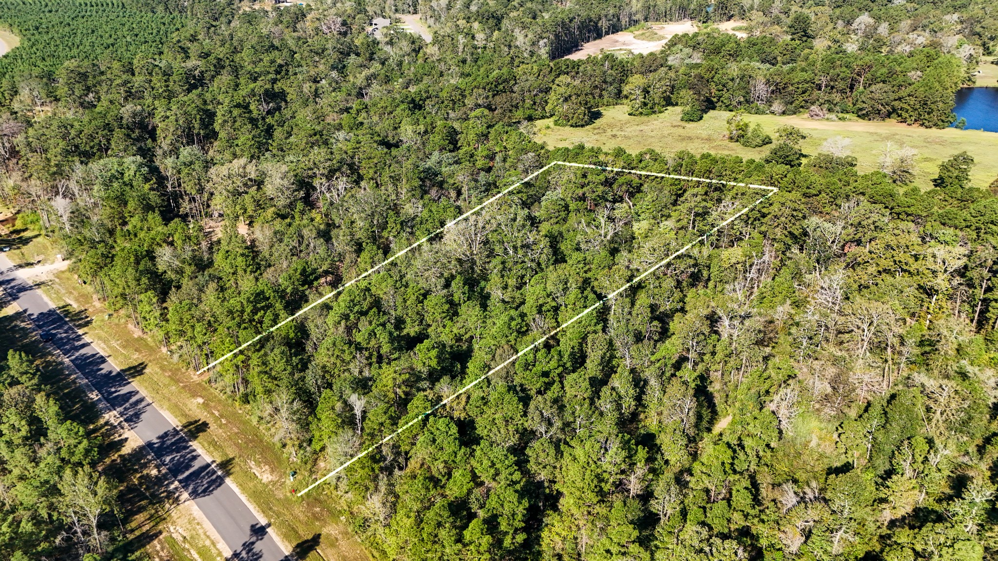 15821 Ridge Rock Road Property Photo 17