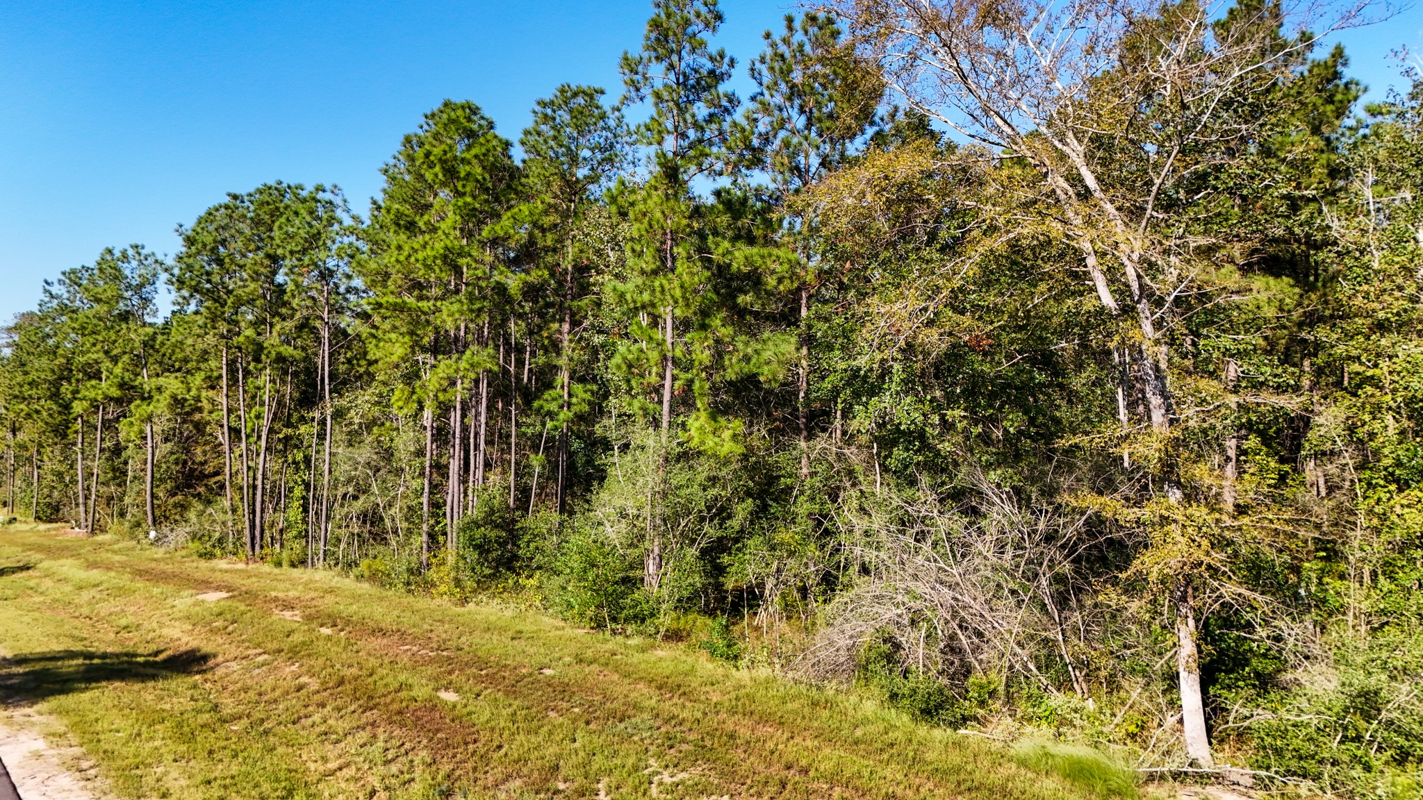 15821 Ridge Rock Road Property Photo 18