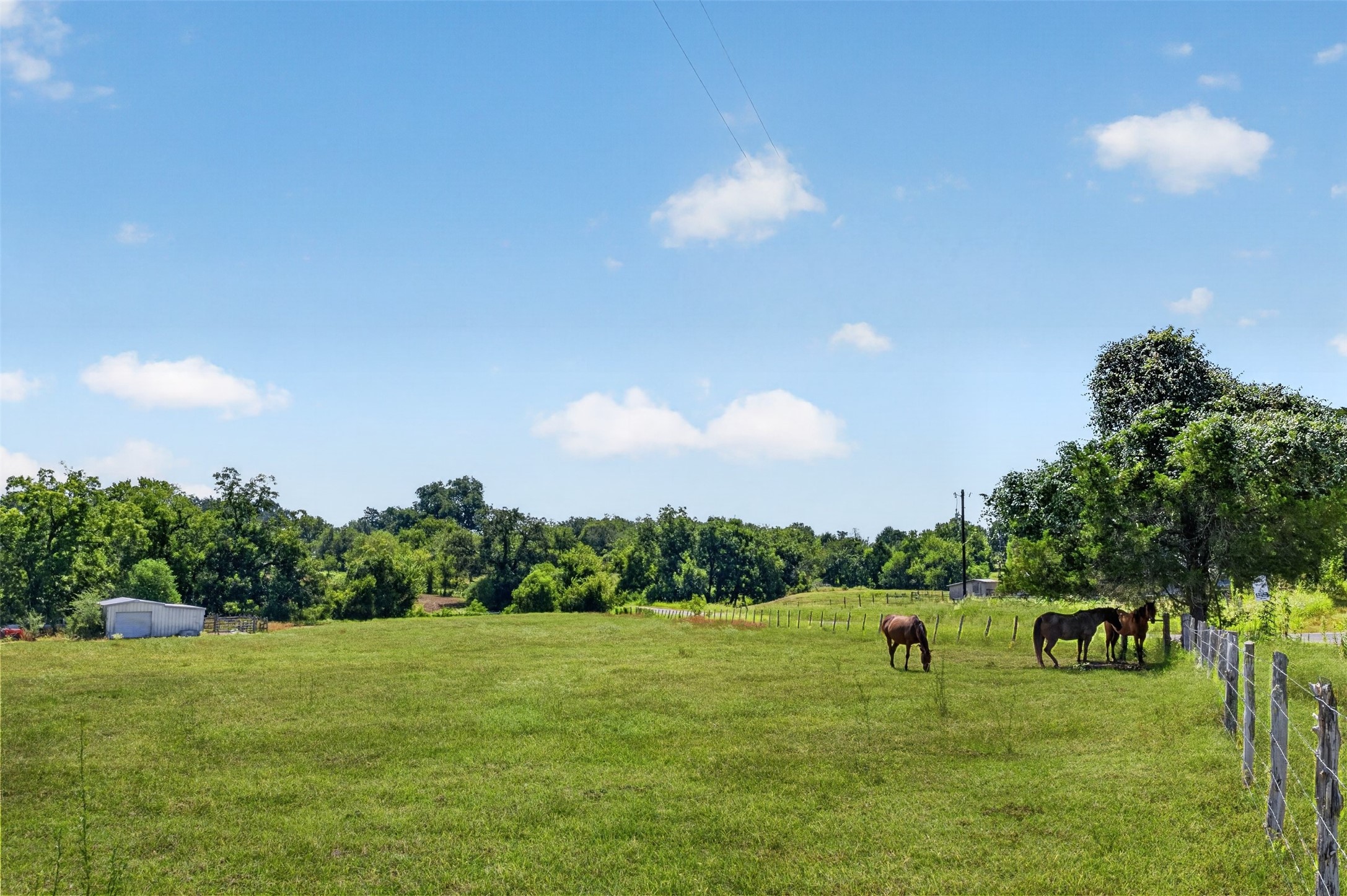 3085 Shupak Road Property Photo 11