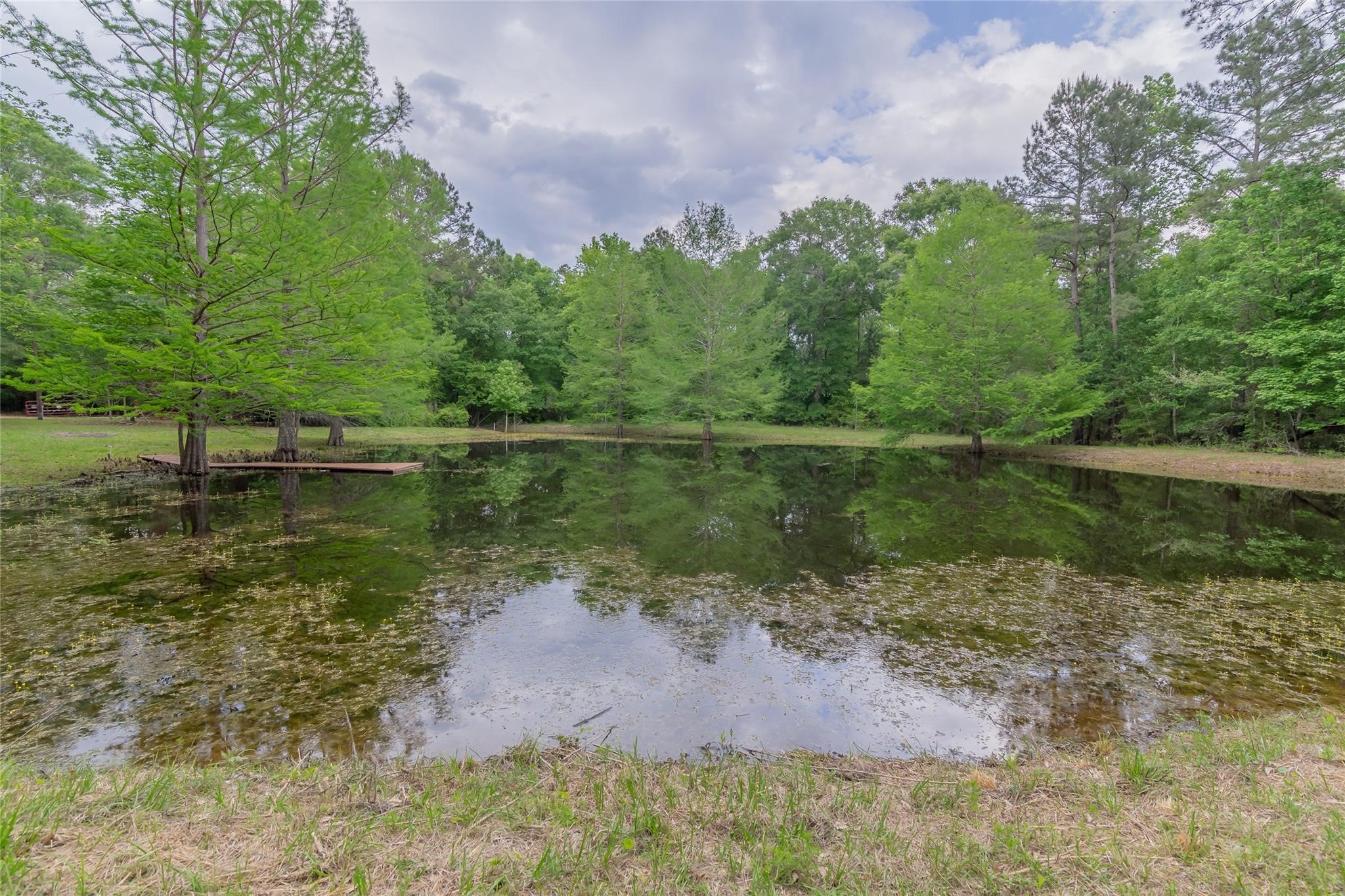 14701 Cedar Lane Loop Property Photo 39