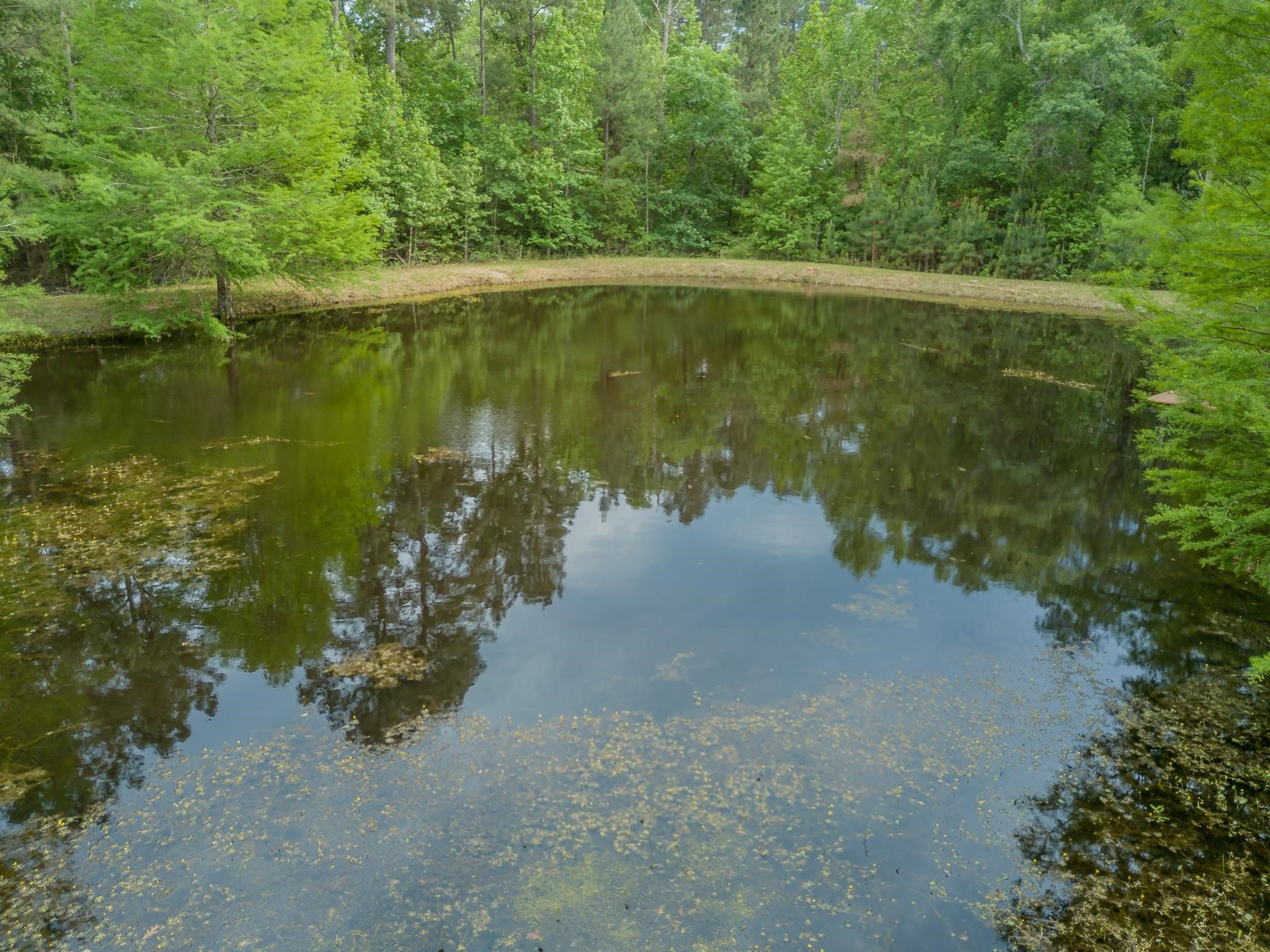 14701 Cedar Lane Loop Property Photo 40