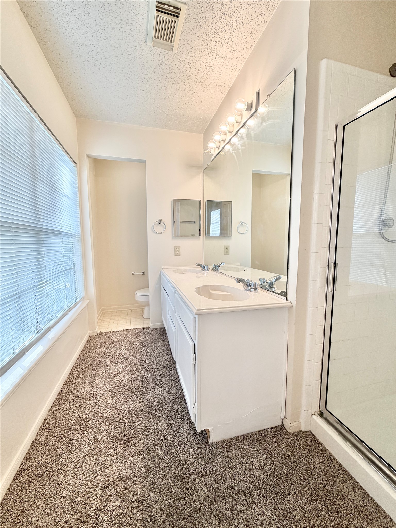 17210 Colony Creek Drive Property Photo 16
