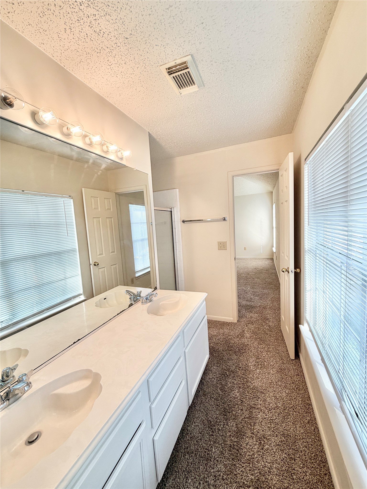 17210 Colony Creek Drive Property Photo 17
