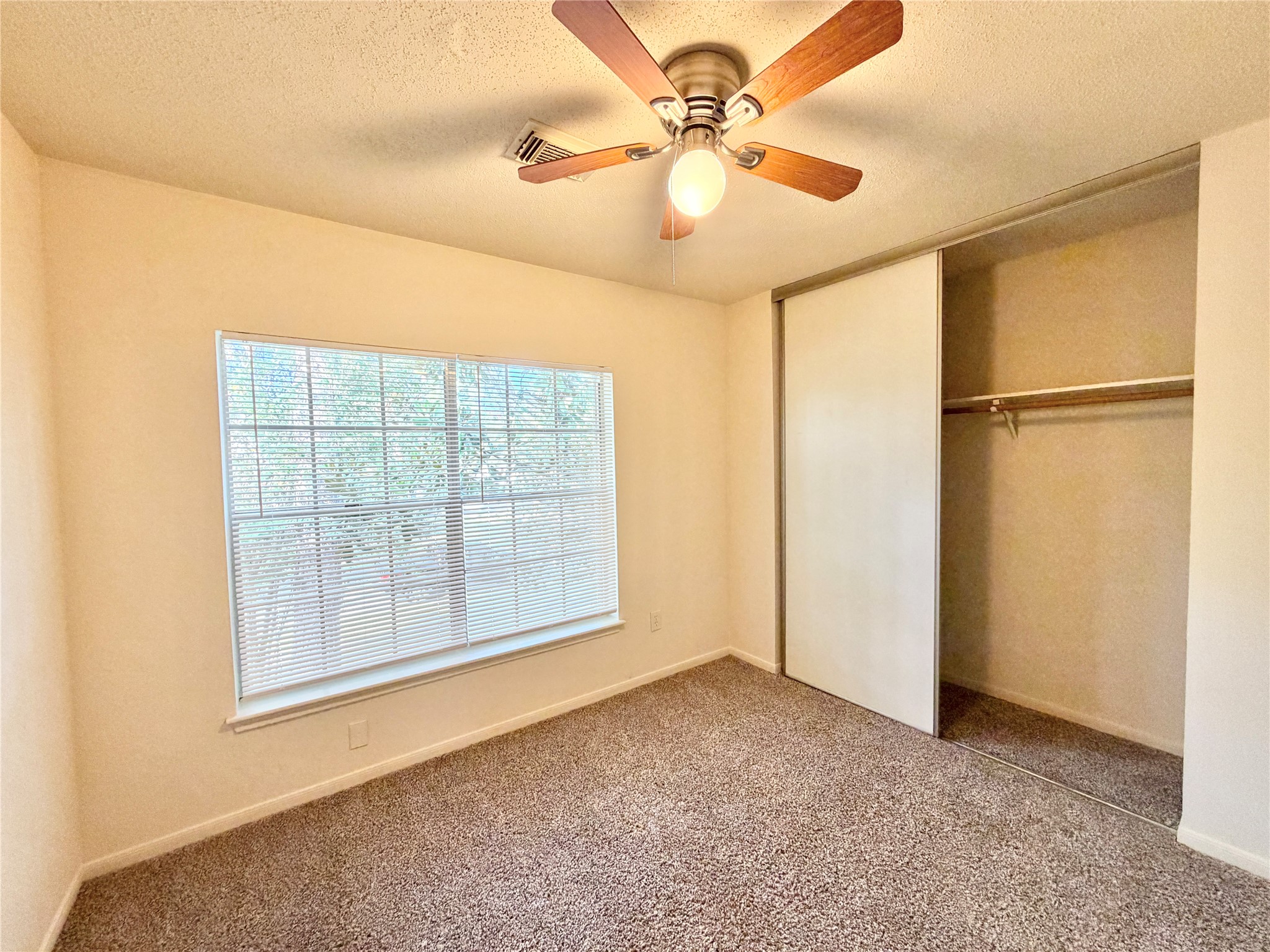 17210 Colony Creek Drive Property Photo 18