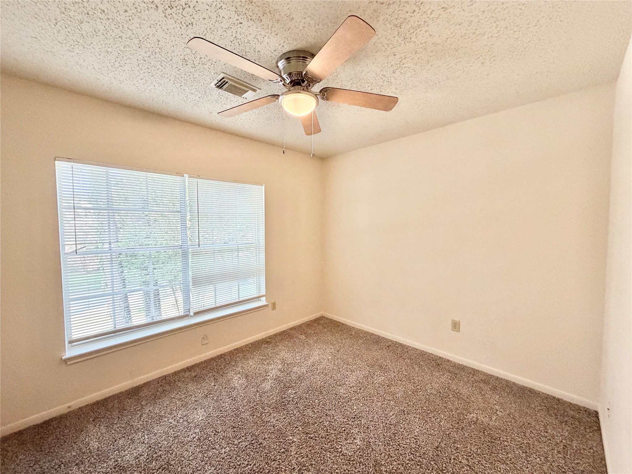 17210 Colony Creek Drive Property Photo 19