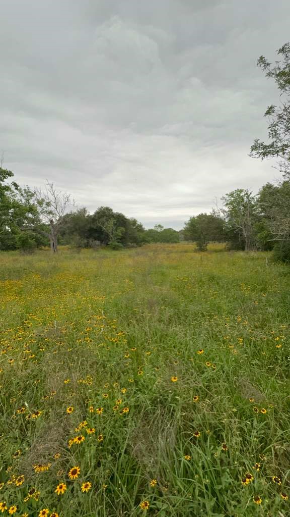 Tbd Tbd Property Photo 2