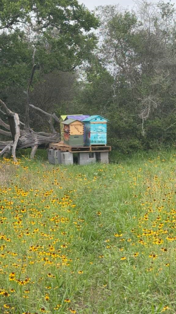 Tbd Tbd Property Photo 3