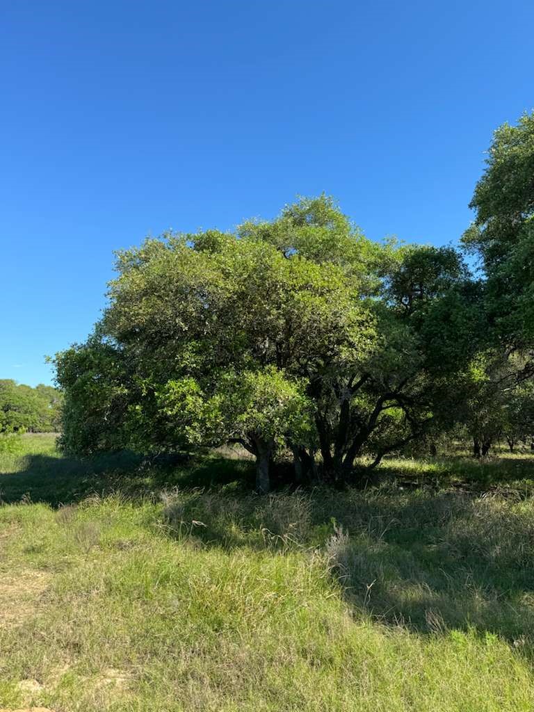 Tbd Tbd Property Photo 5