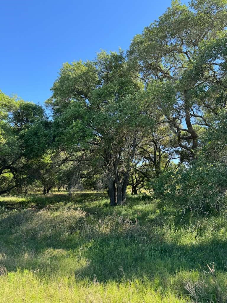 Tbd Tbd Property Photo 6
