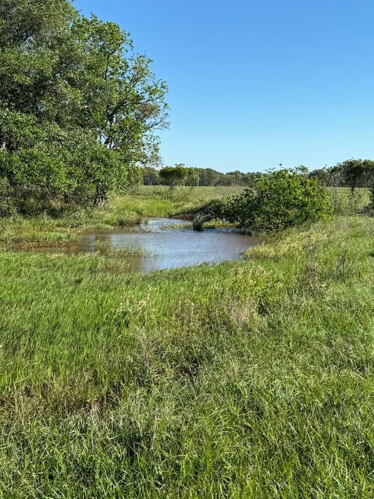 Tbd Tbd Property Photo 8
