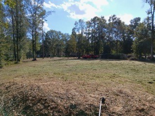 25881 Somerset Property Photo 7