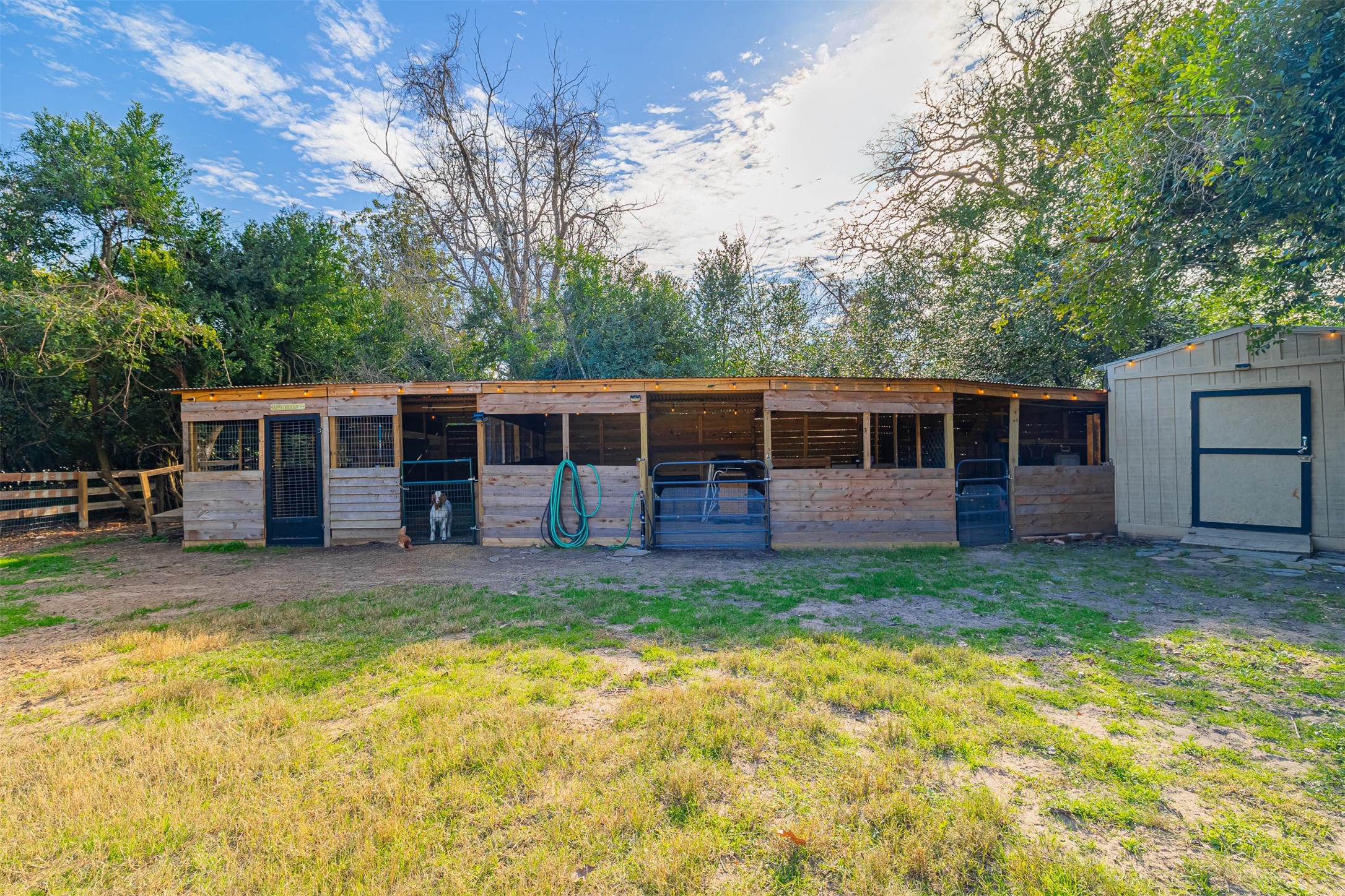 724 S Tesch Street Property Photo 35